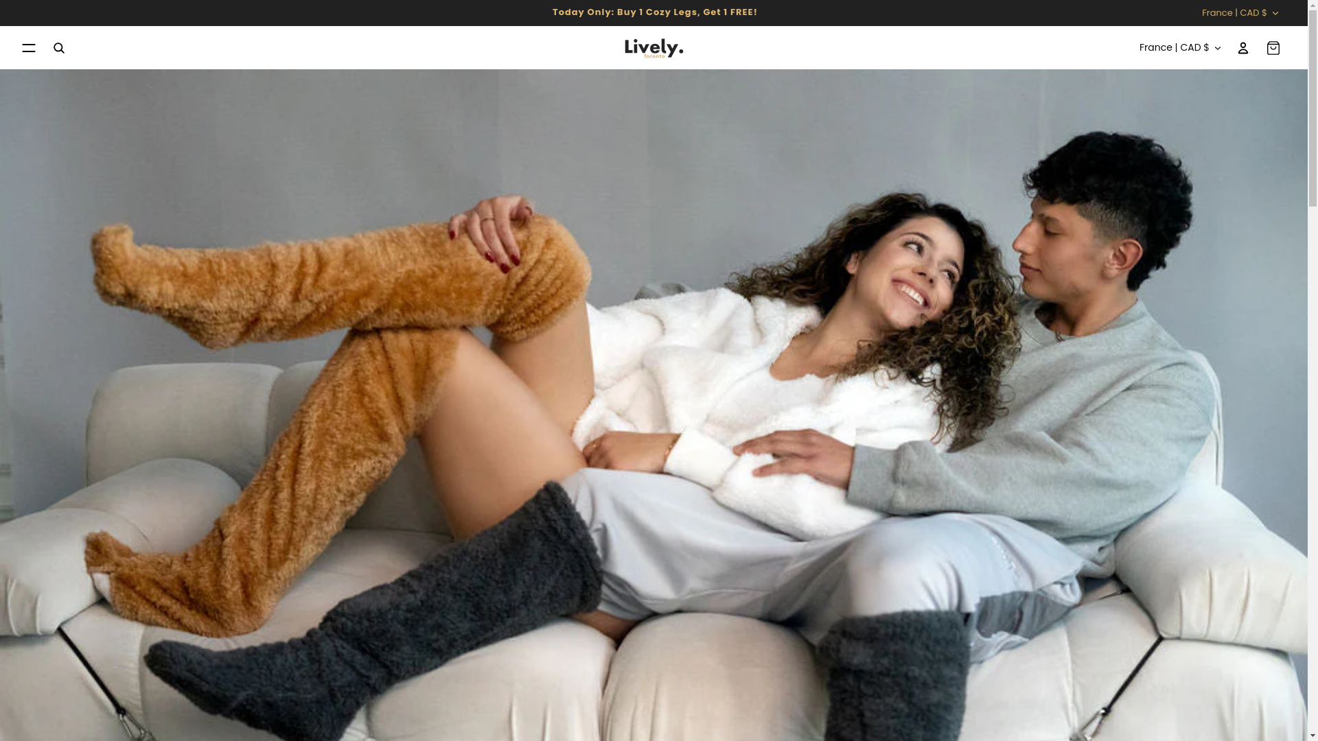website screenshot of https://livelycosy.com/