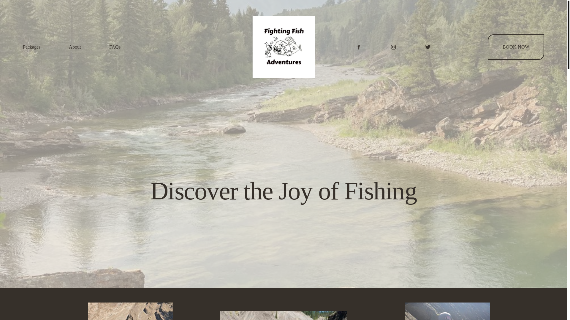 website screenshot of https://fightingfishadventures.com/