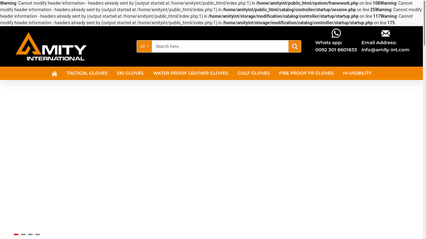 website screenshot of https://amity-int.com/