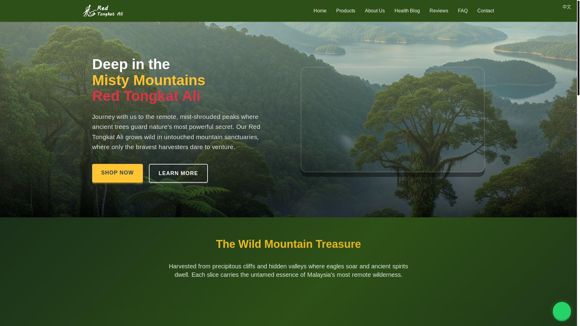 website screenshot of https://redtongkatalimy-2df.pages.dev/