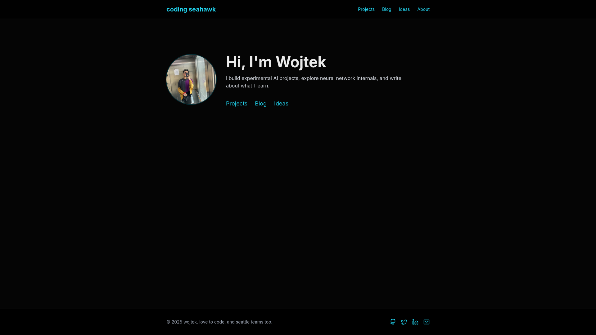 website screenshot of https://codingseahawk.com/