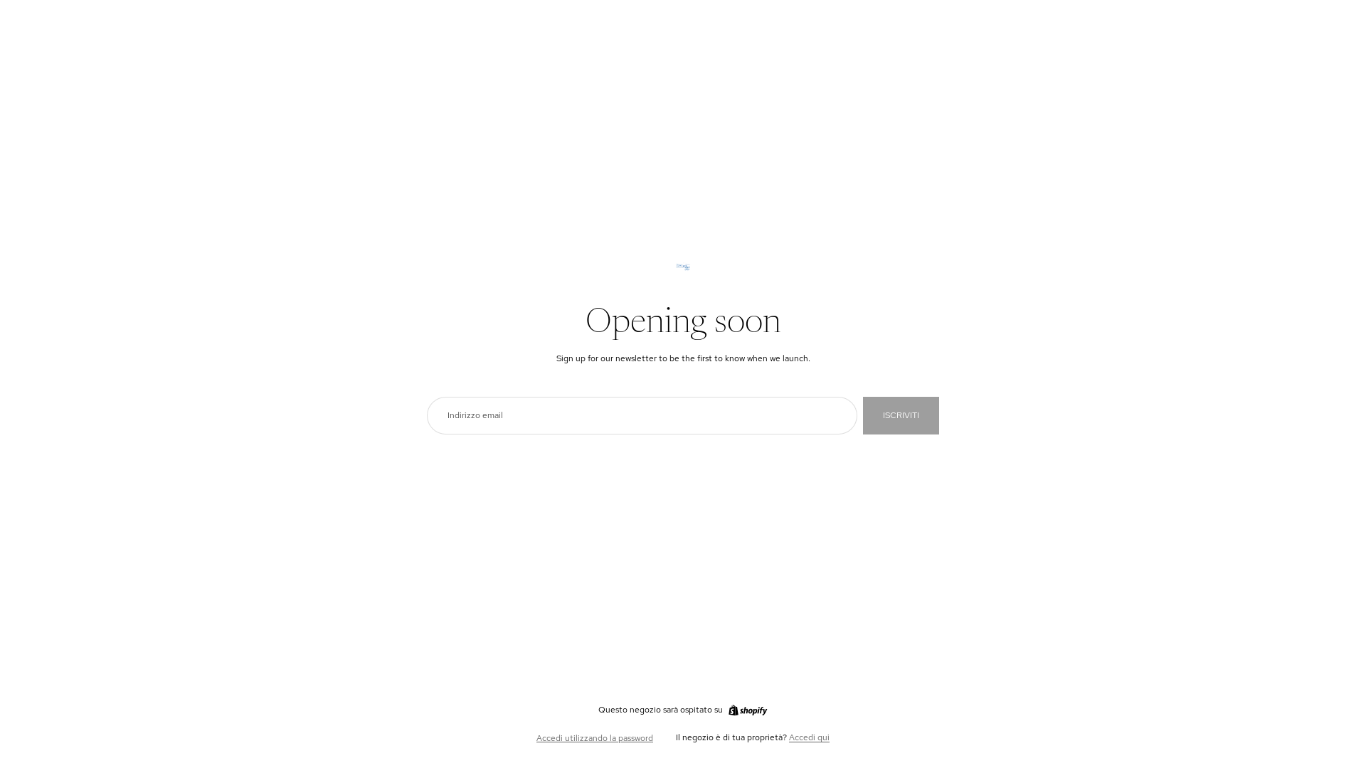 website screenshot of https://zirconartshop.com/