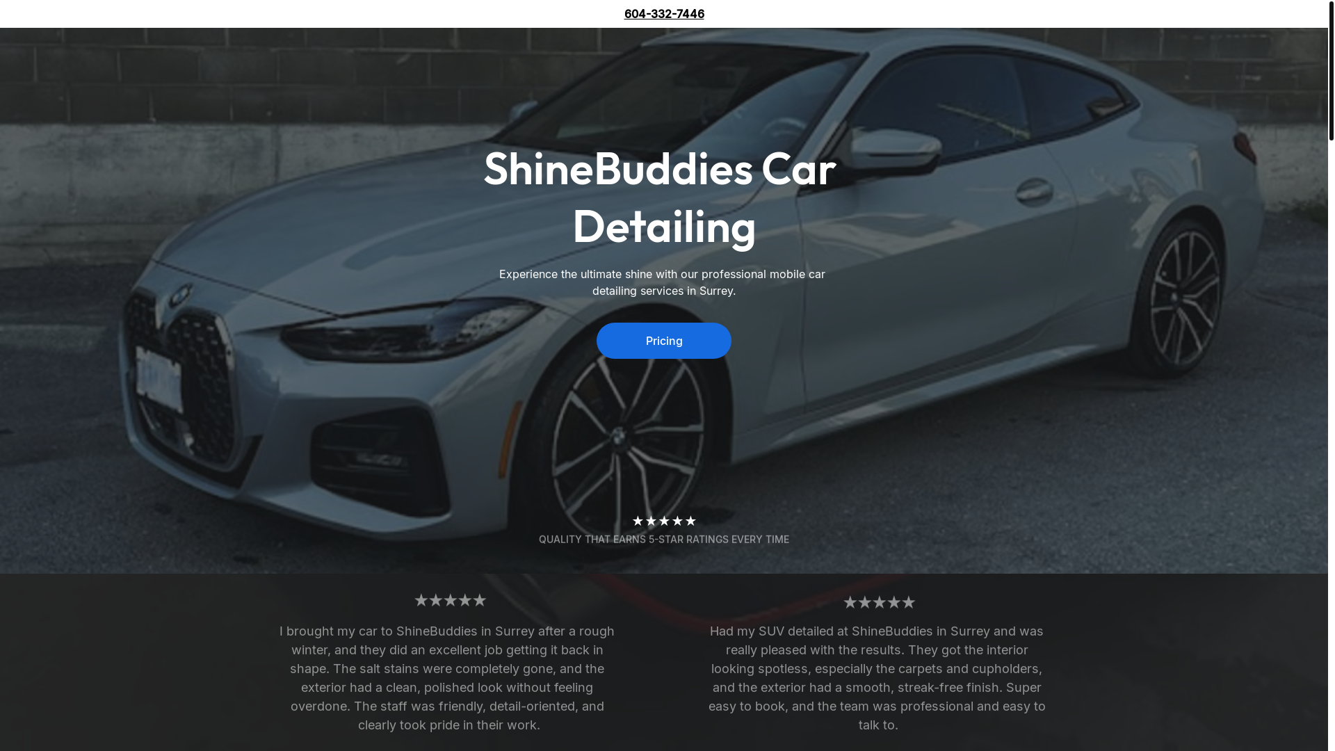 website screenshot of https://shinebuddiescardetailing.shop/