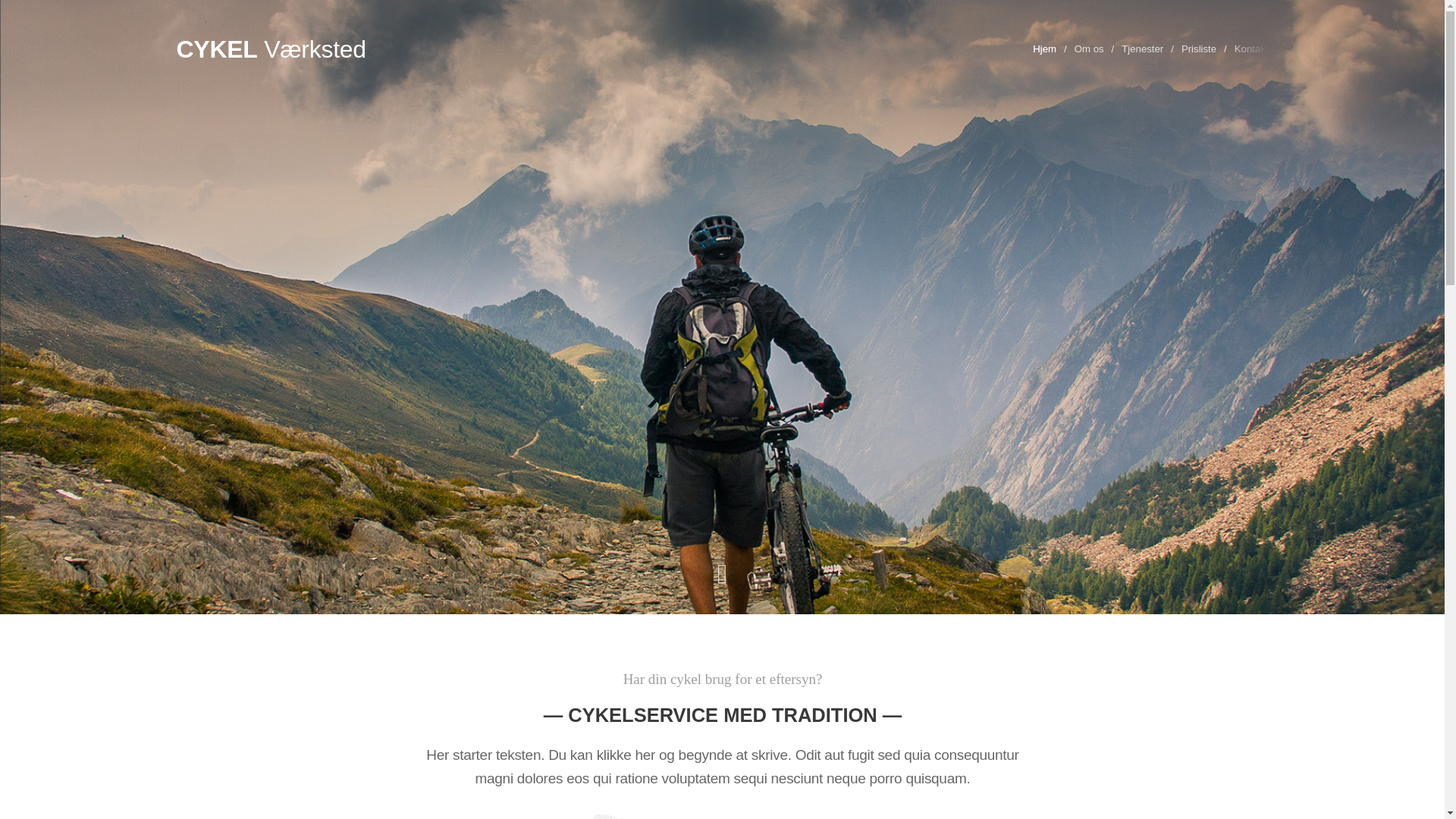 website screenshot of https://tomrermester-nc.dk/