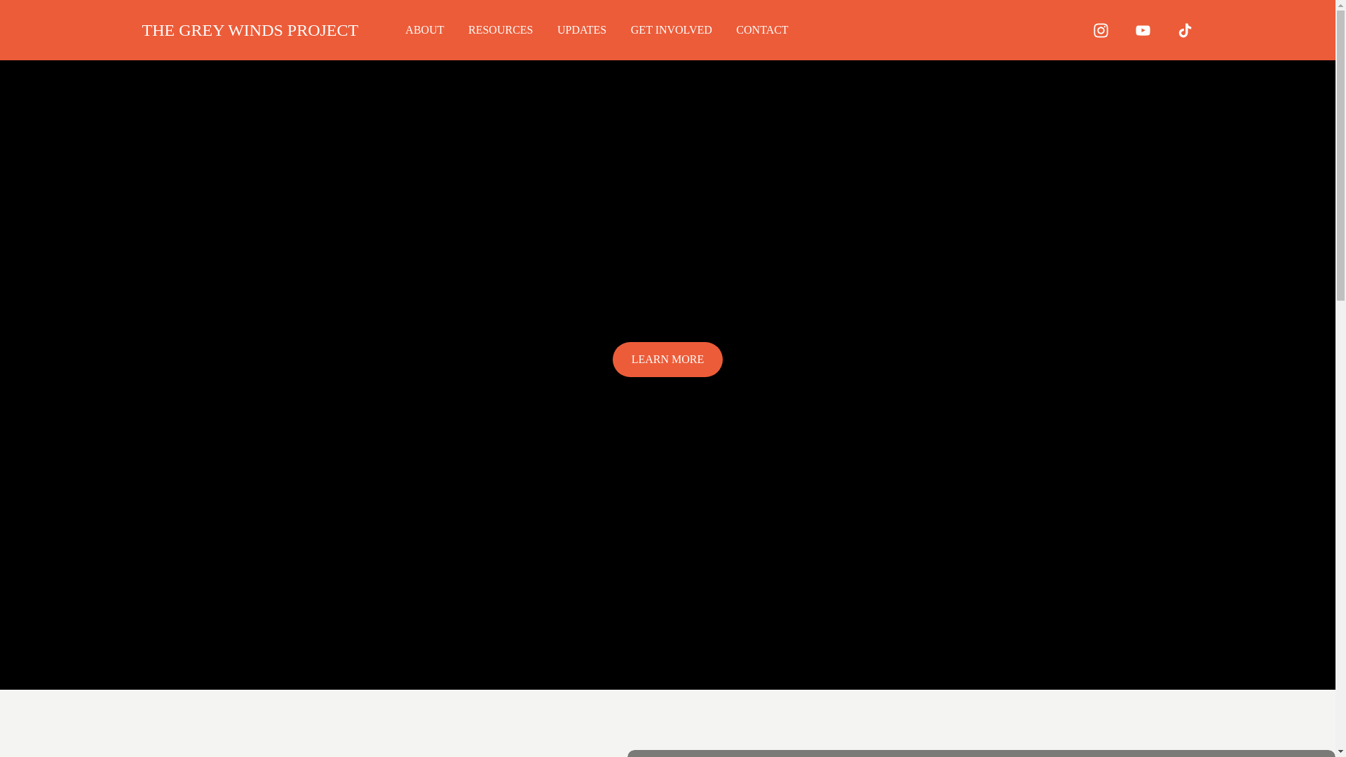 website screenshot of https://thegreywindsprojects.com/