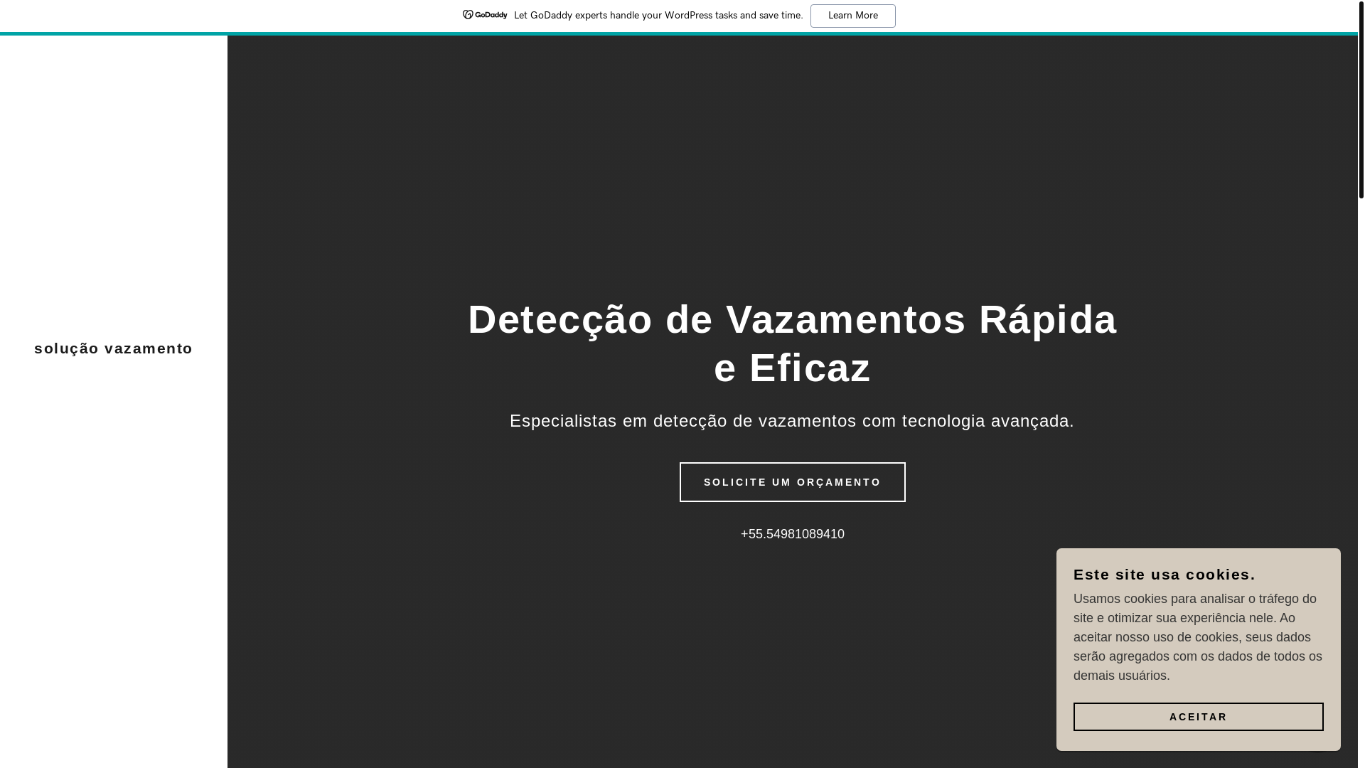 website screenshot of https://xn--soluaovazamento-hmb.com/