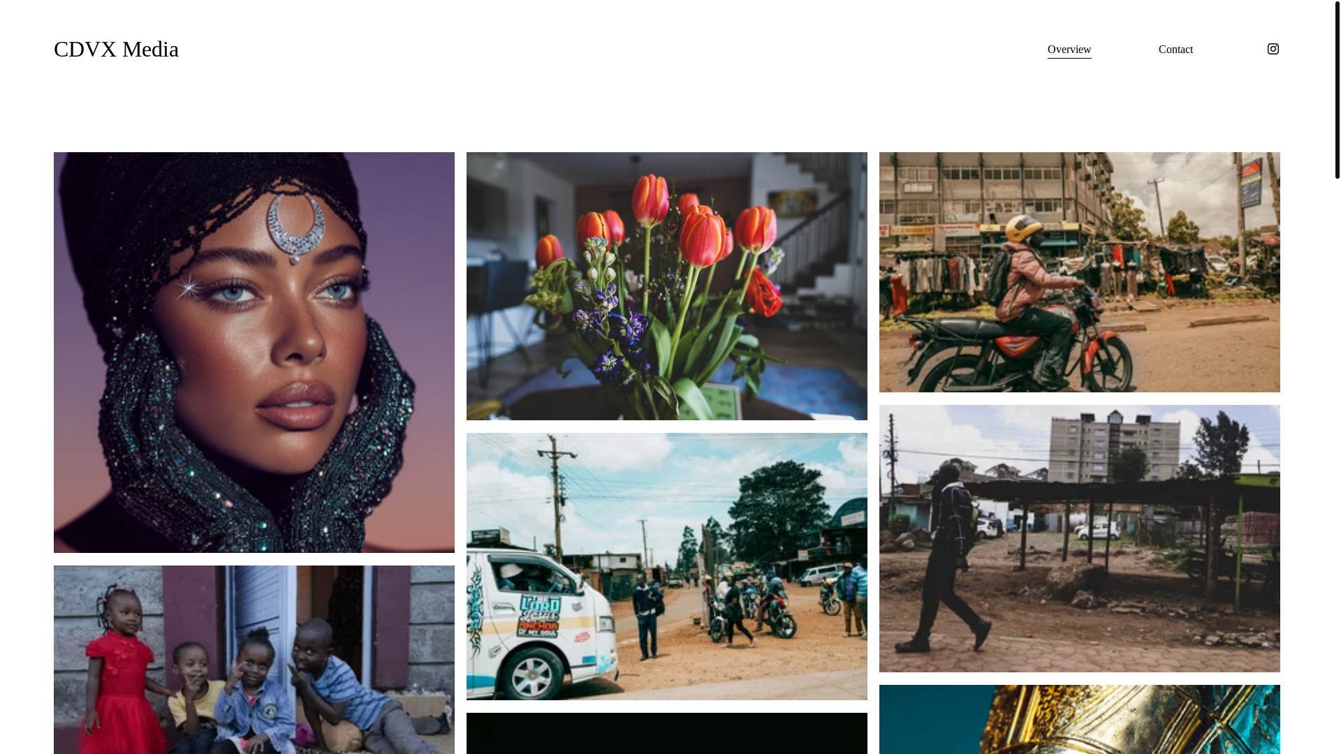 website screenshot of https://cvdx.studio/