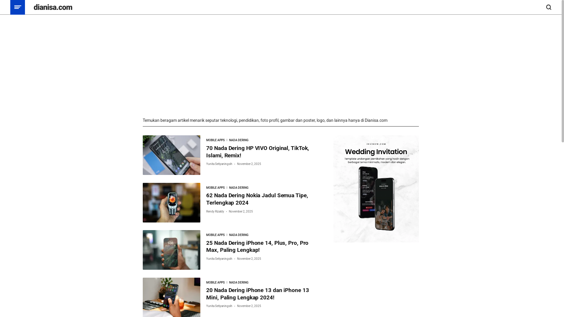 website screenshot of https://dianisa.com/