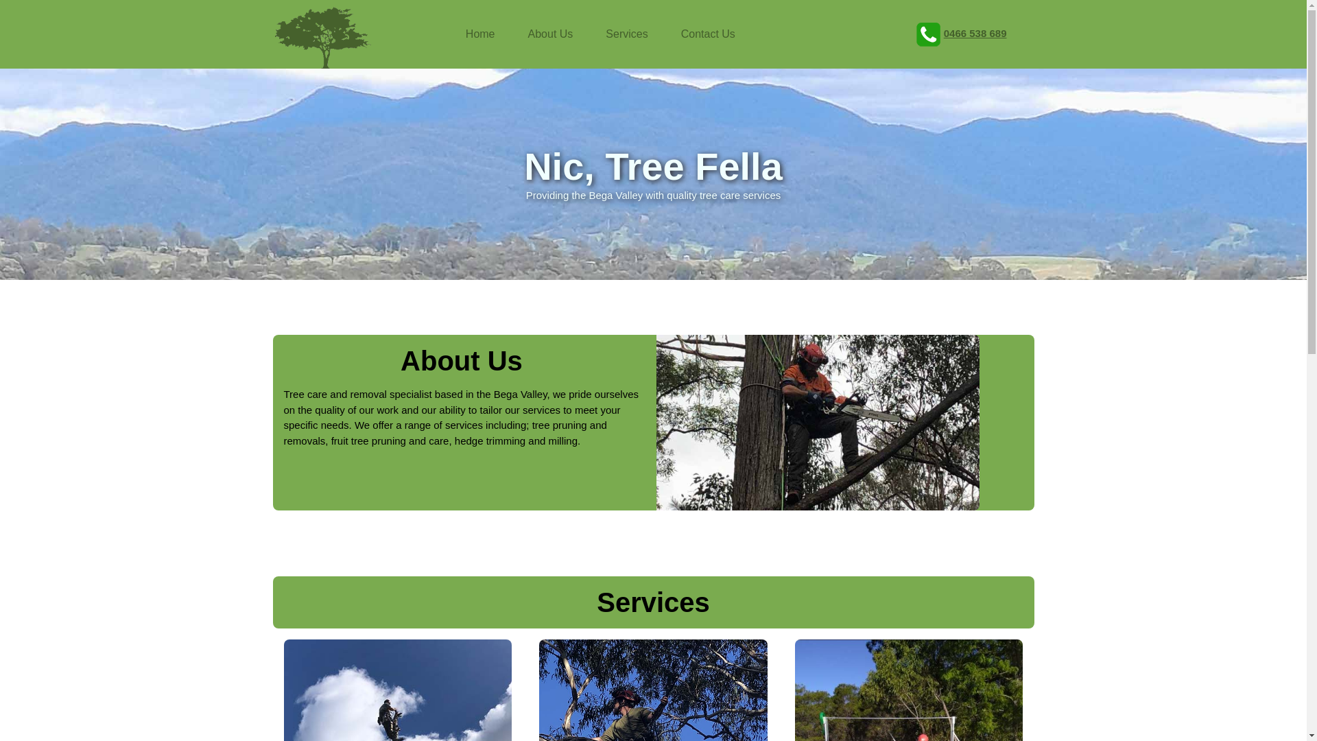 website screenshot of https://nictreefella.online/