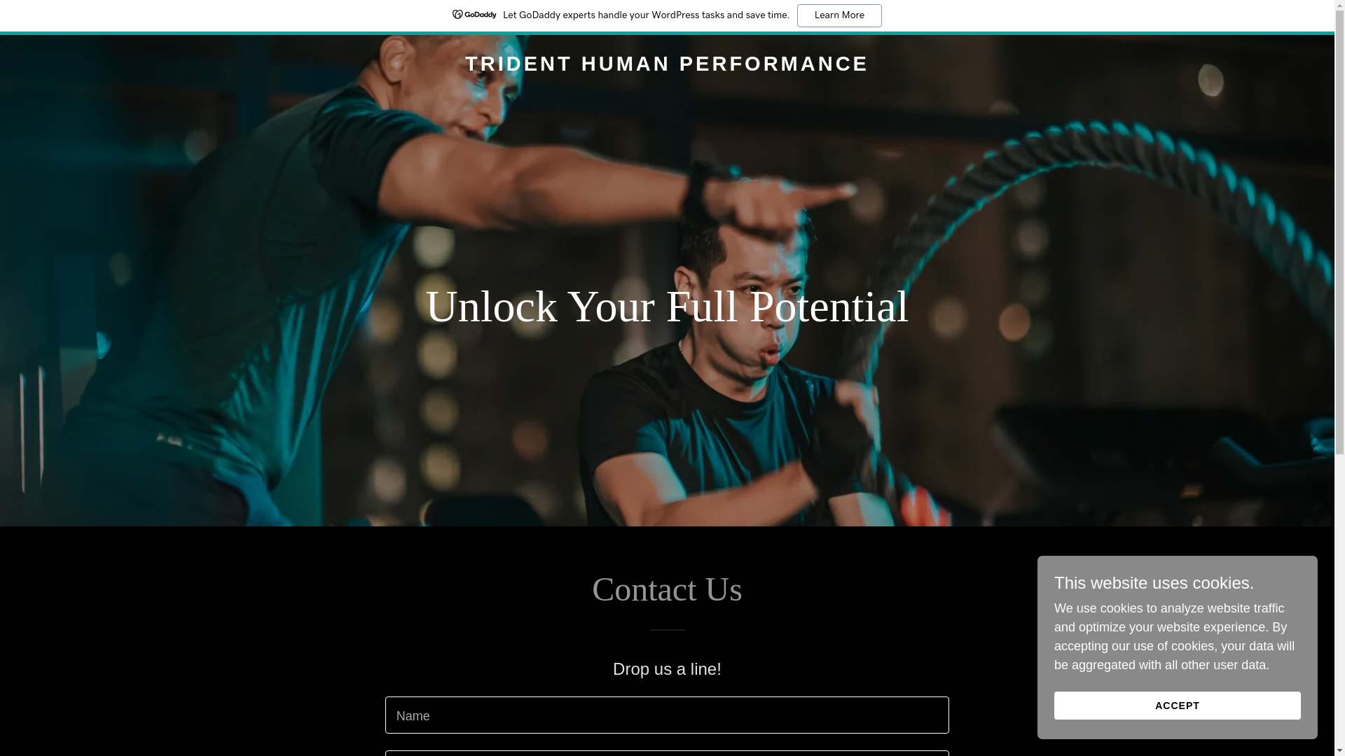 website screenshot of https://tridenthumanperformance.com.au/