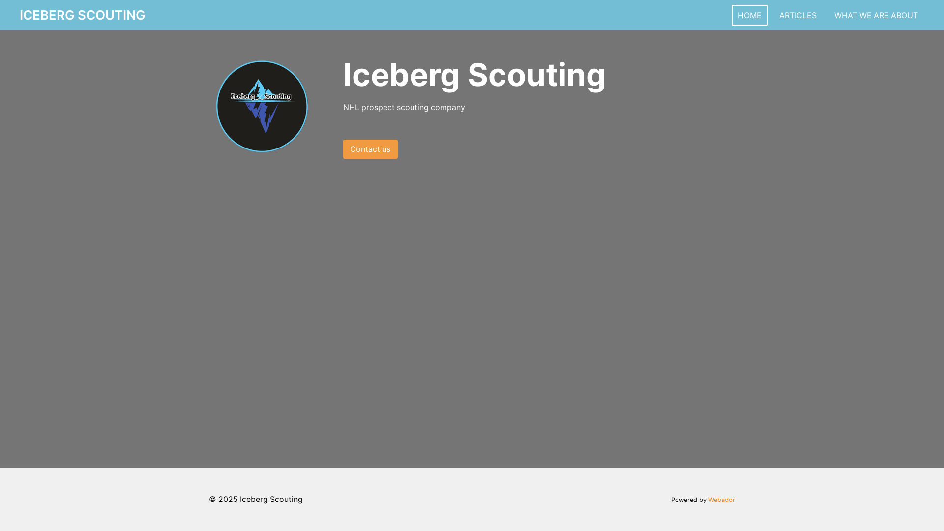 website screenshot of https://icebergscouting.ca/