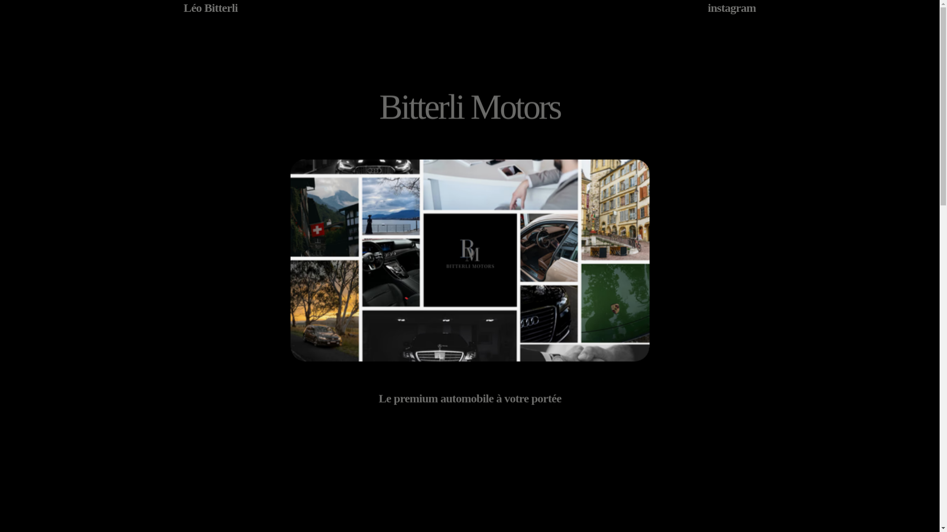 website screenshot of https://bitterlimotors.ch/