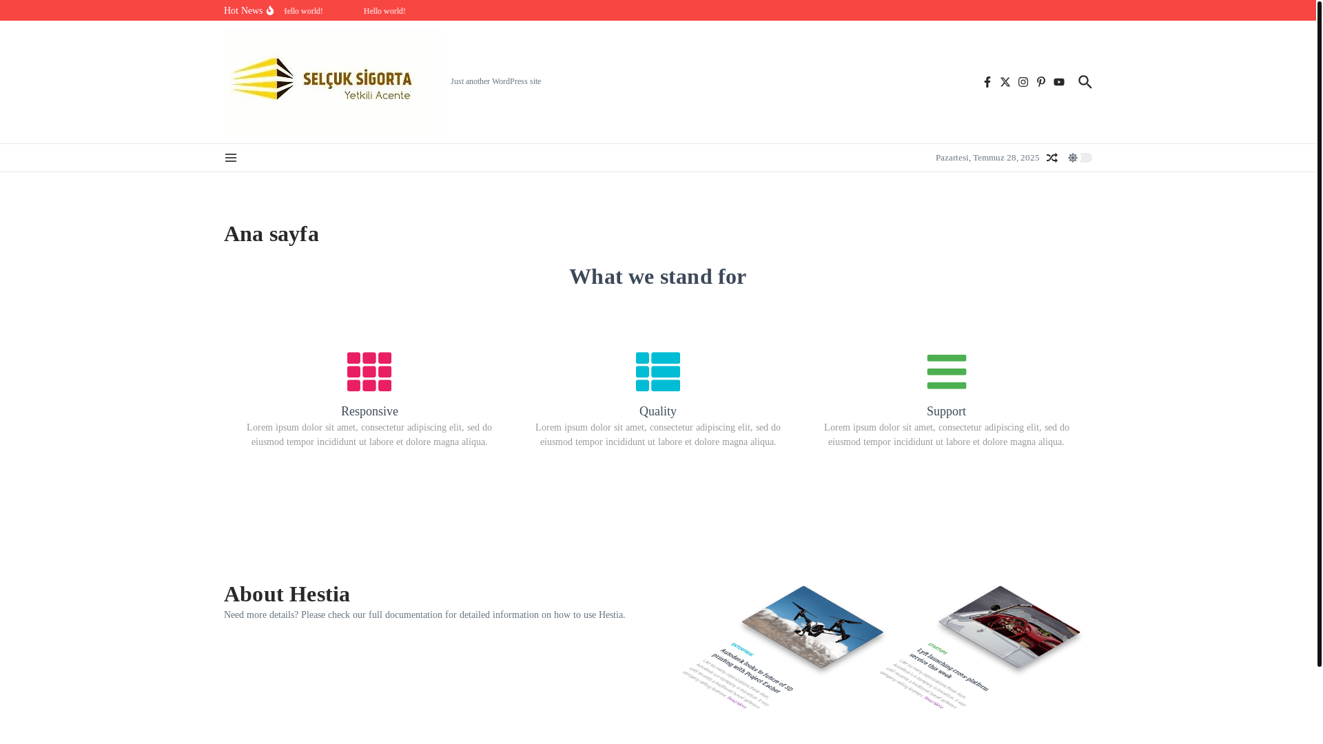 website screenshot of https://selcuksigorta.net/