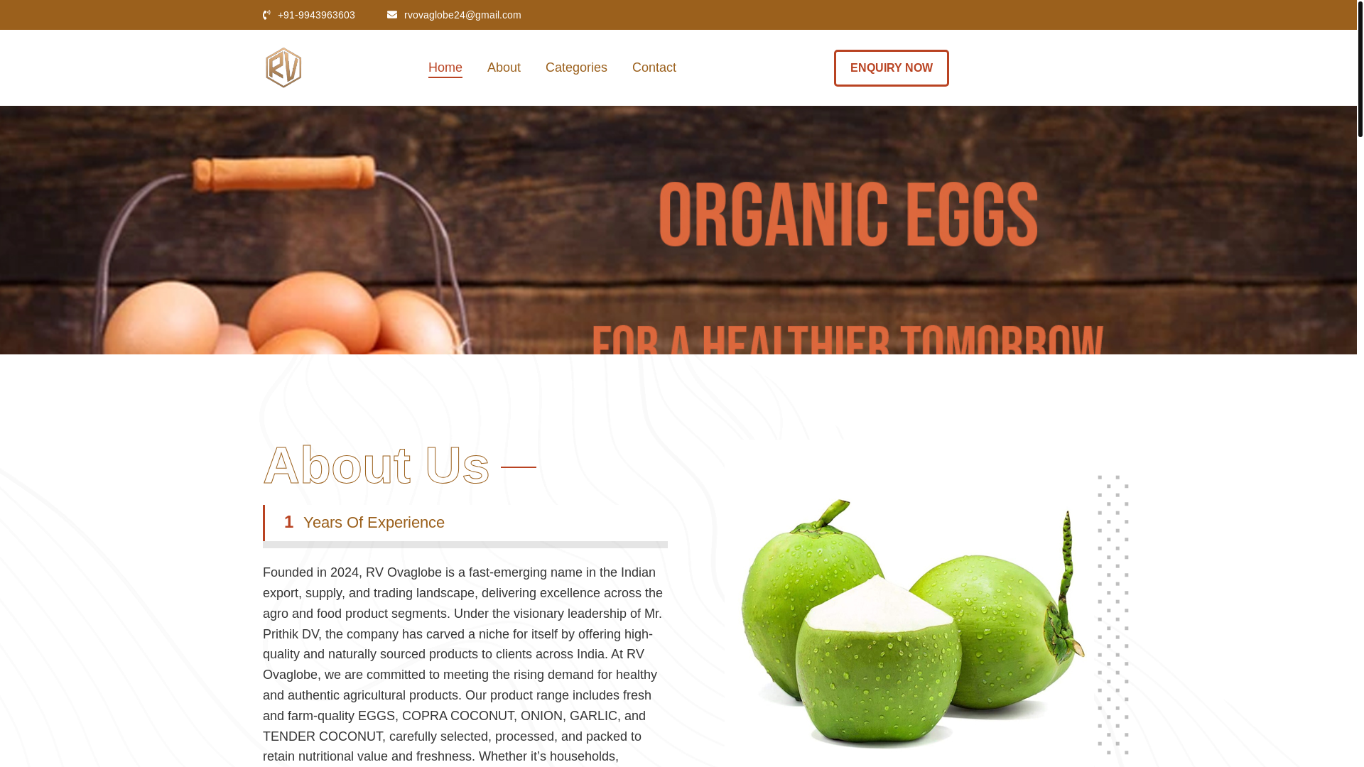 website screenshot of https://rv-ovaglobe.in/