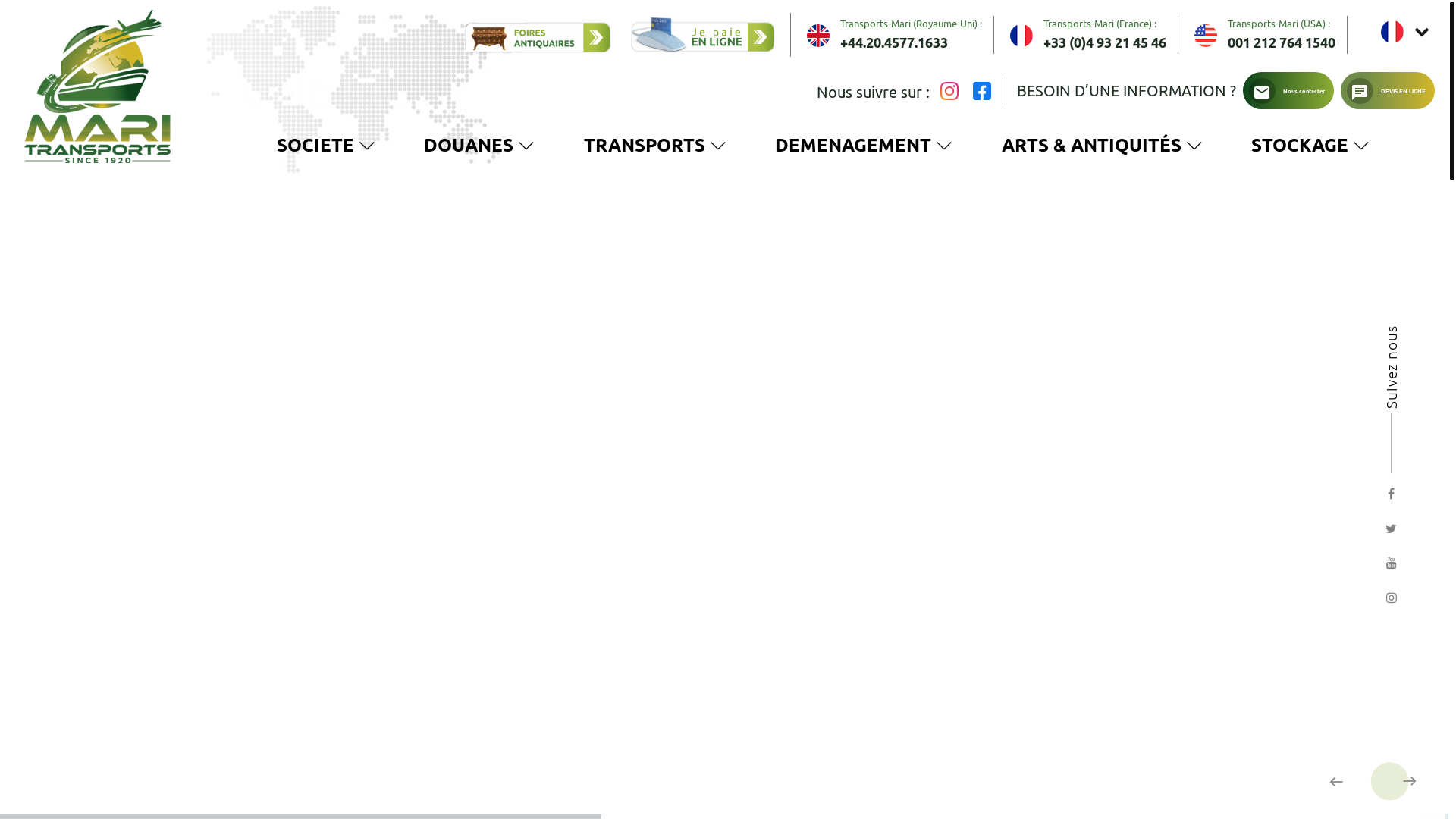 website screenshot of https://demenagements-internationnaux.com/