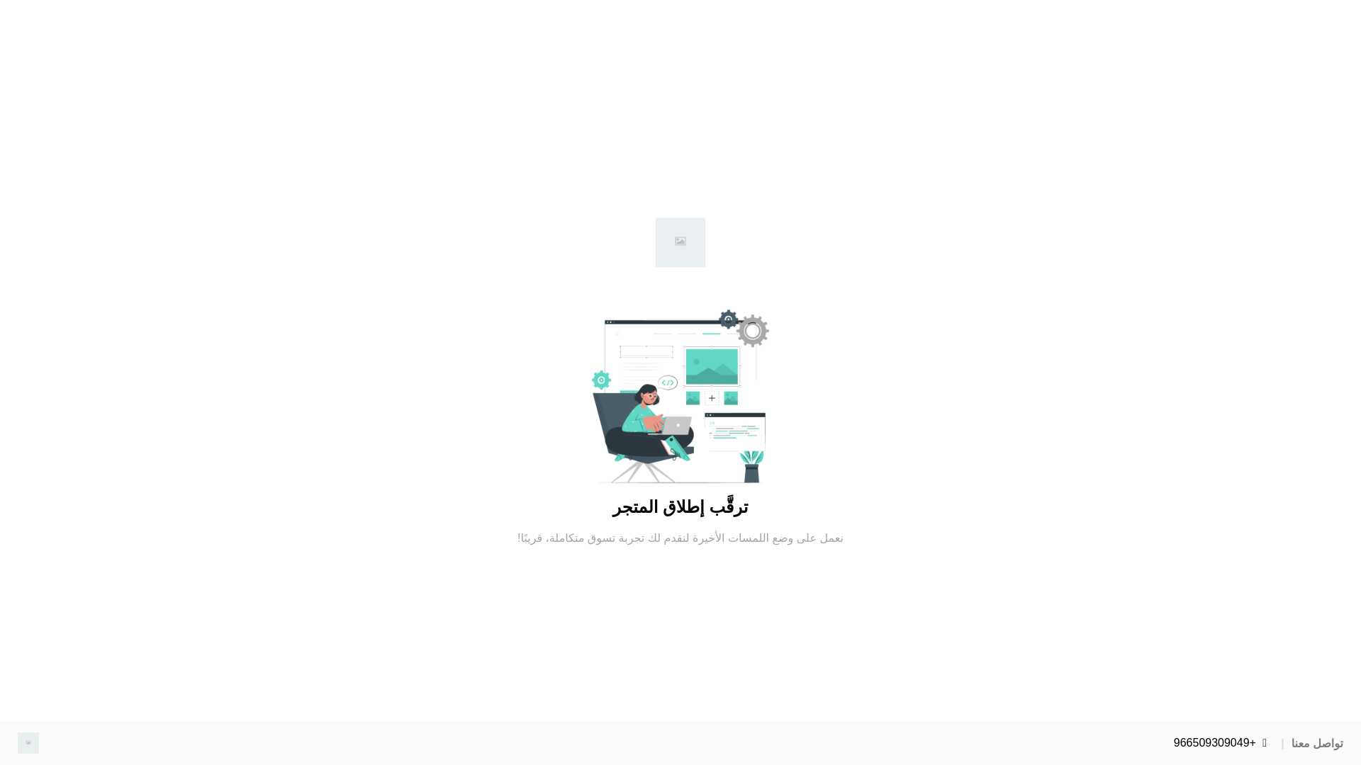 website screenshot of https://danastore-ksa.com/