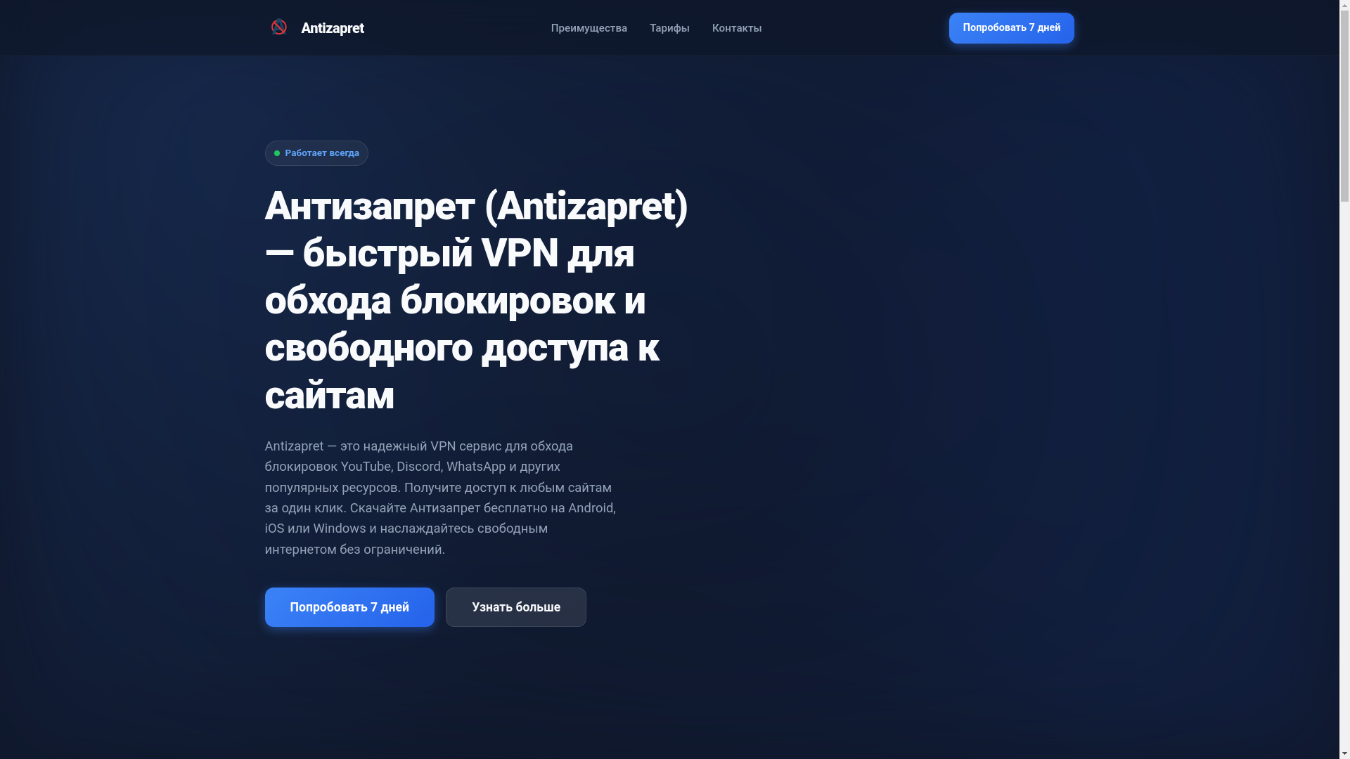 website screenshot of https://antizapretvpn.ru/