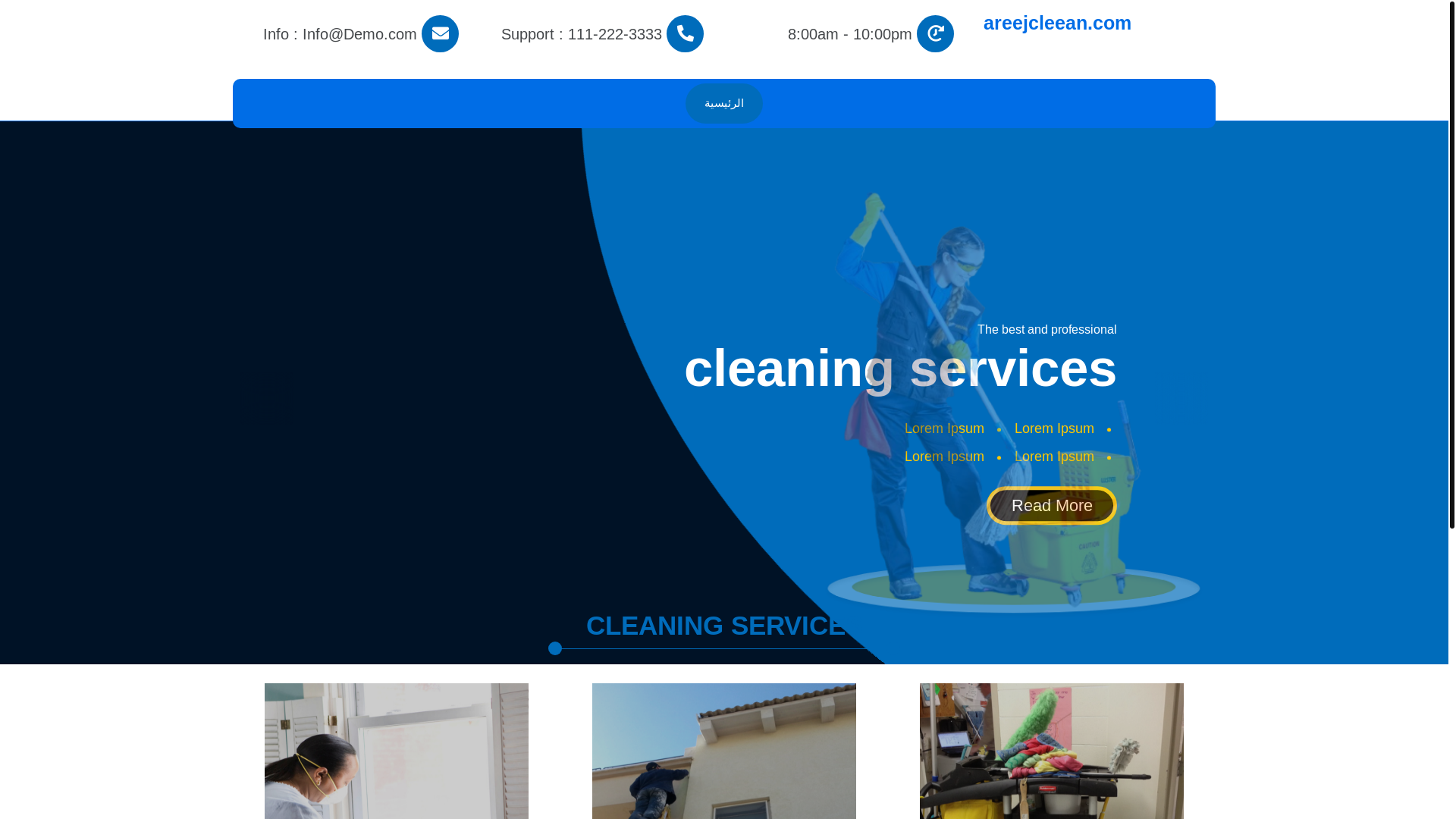 website screenshot of https://areejcleean.com/