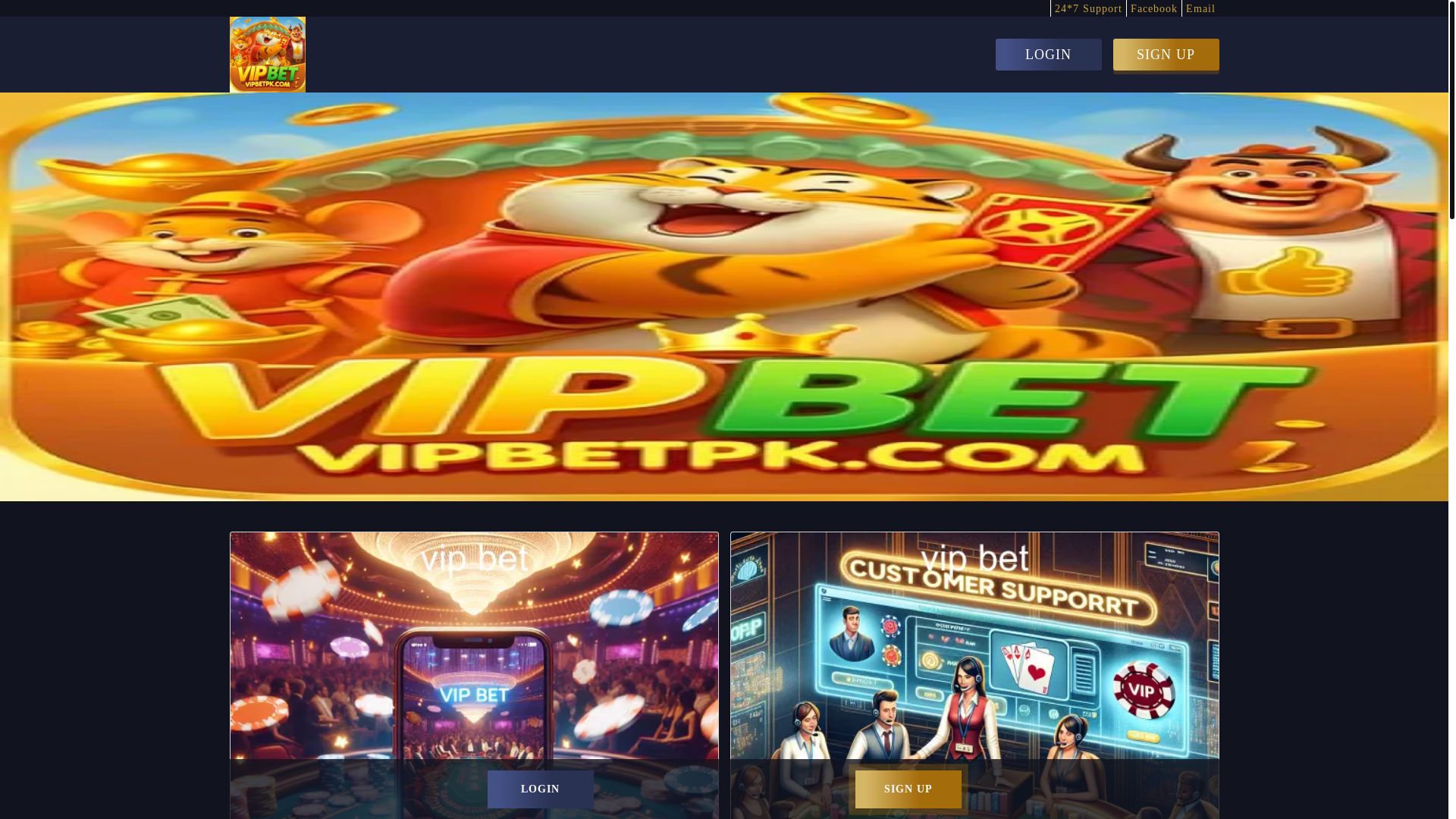 website screenshot of https://vipbetpk.com/