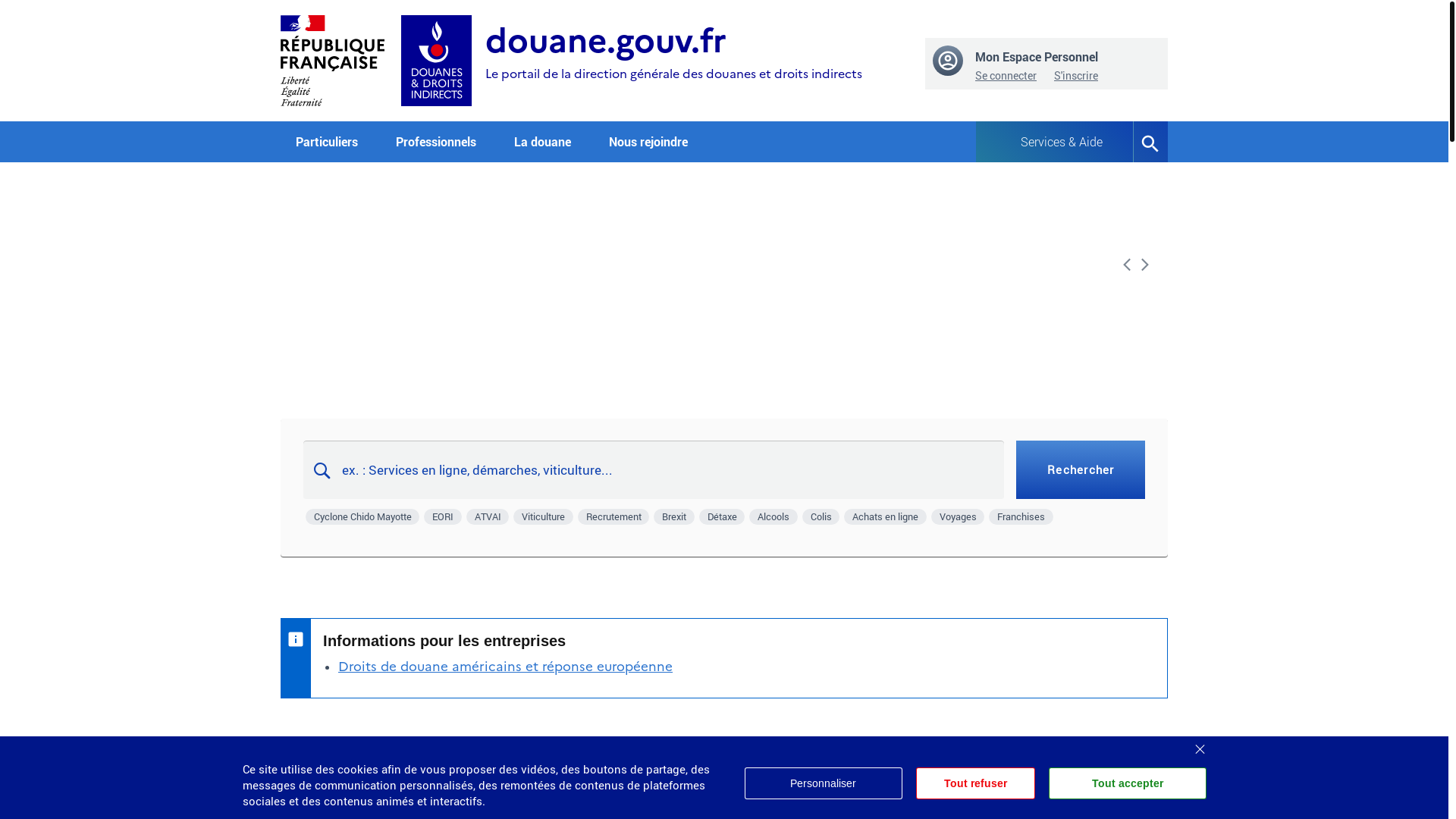 website screenshot of https://www.douane.gouv.fr/