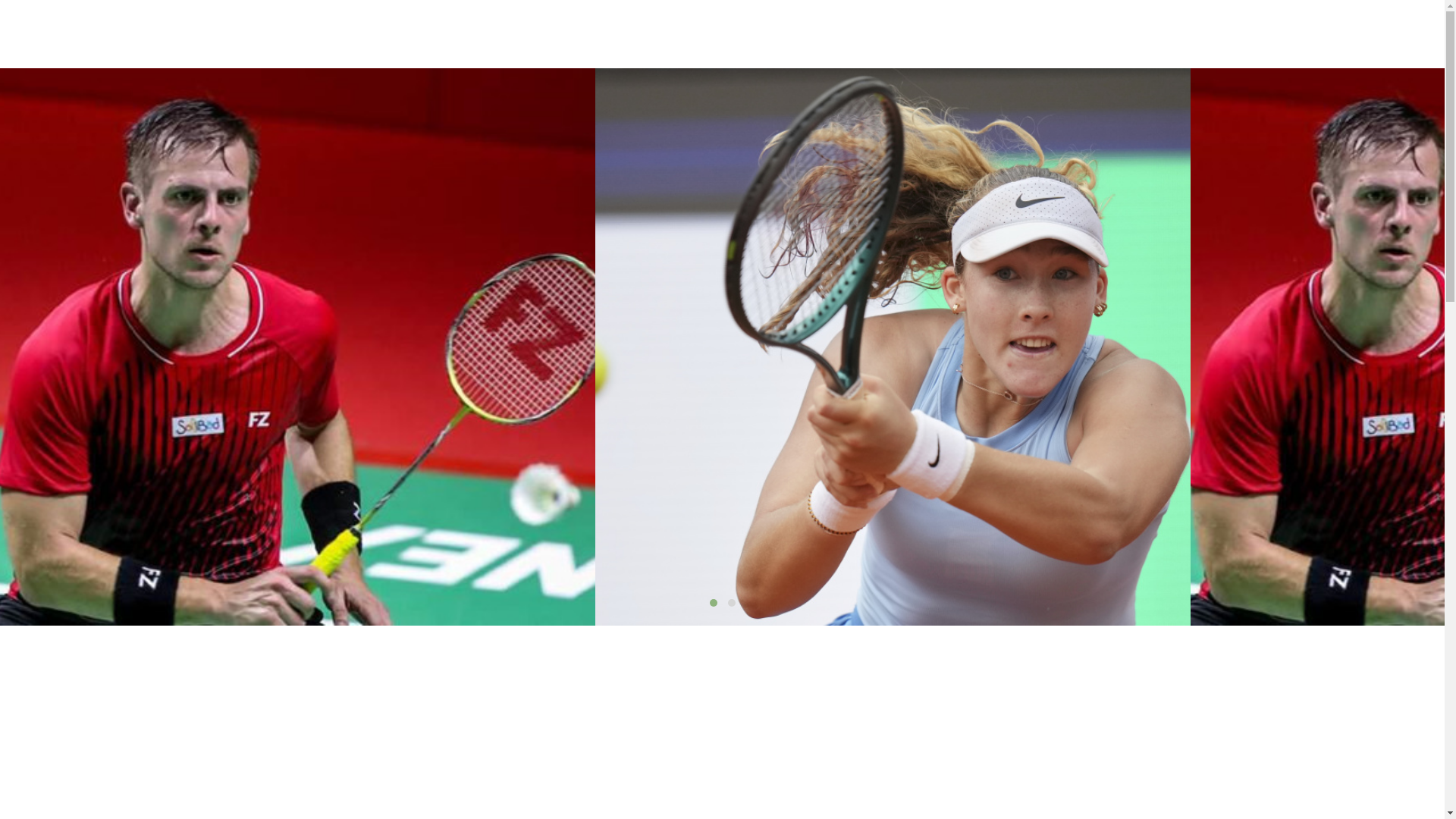 website screenshot of https://zh-wap-goldenflowergames.com/