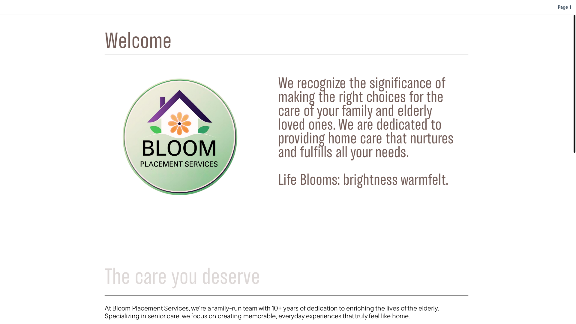 website screenshot of https://bloomplacementservices.com/