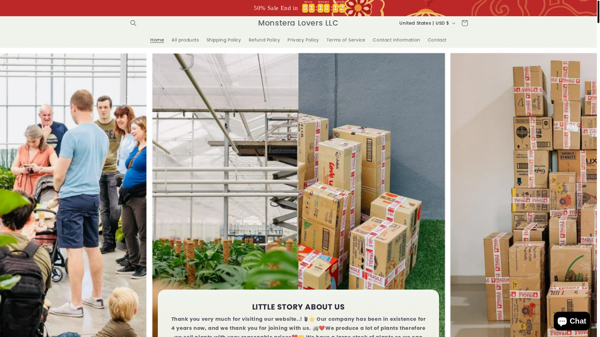 website screenshot of https://monsteralover.store/