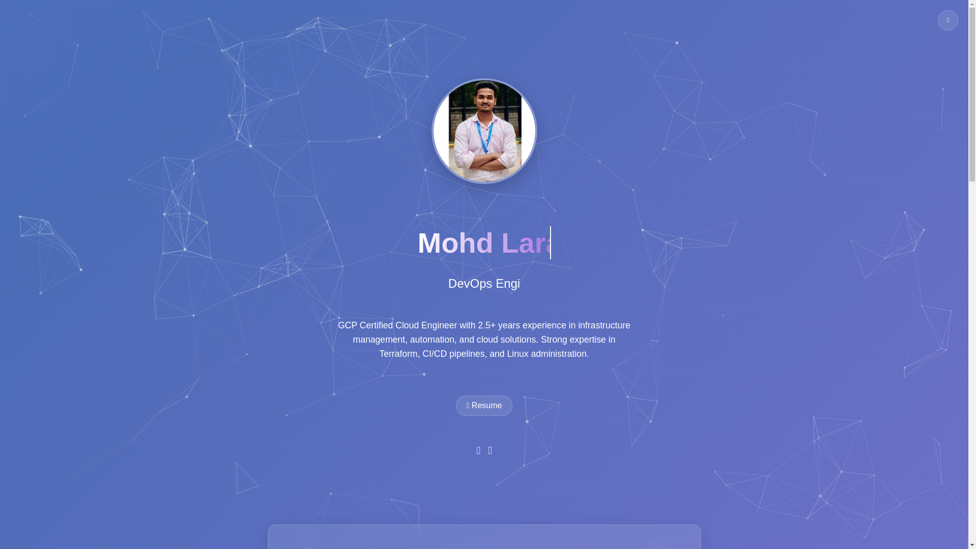 website screenshot of https://laraib.dev/
