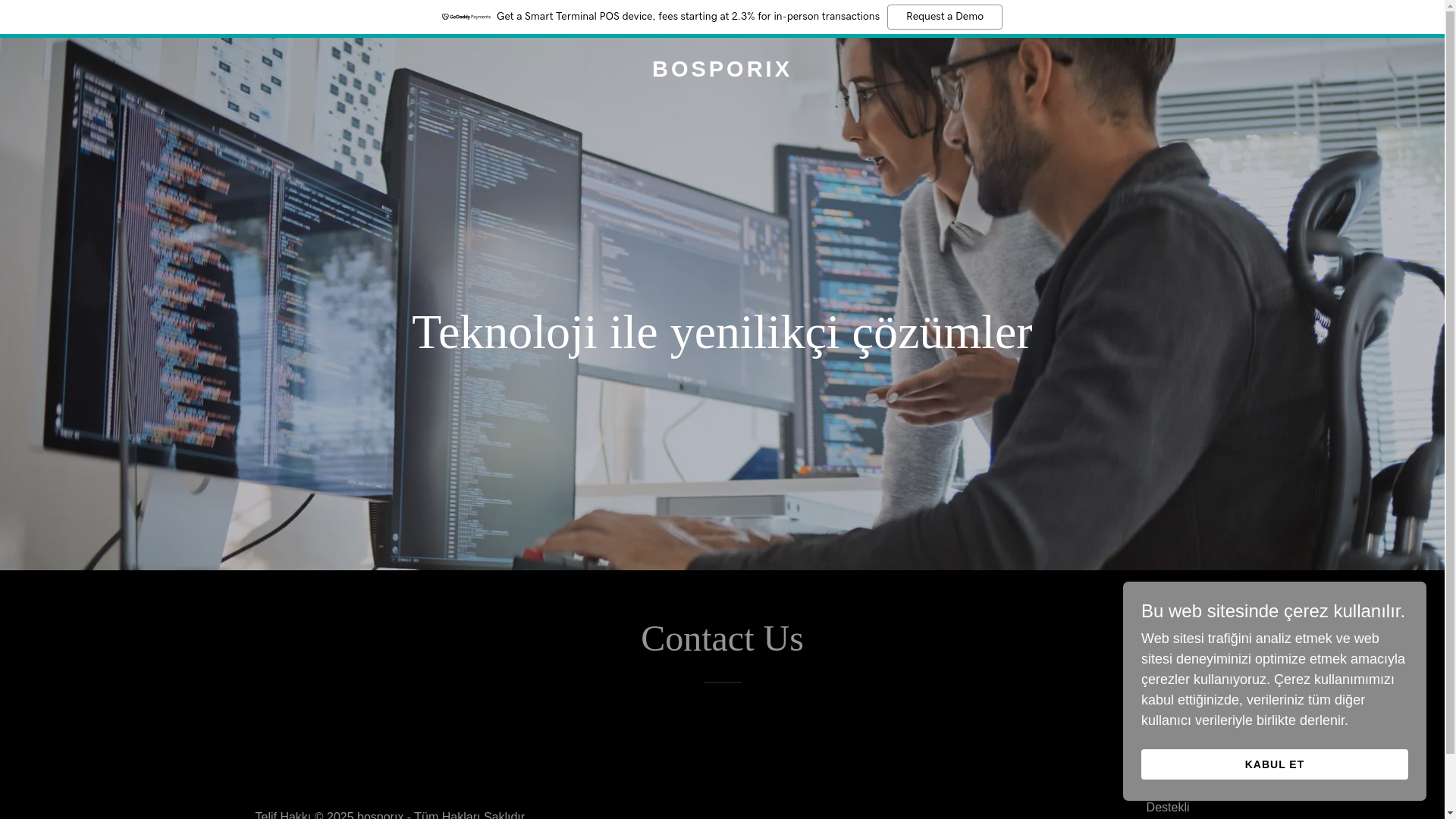 website screenshot of https://bosporix.com/