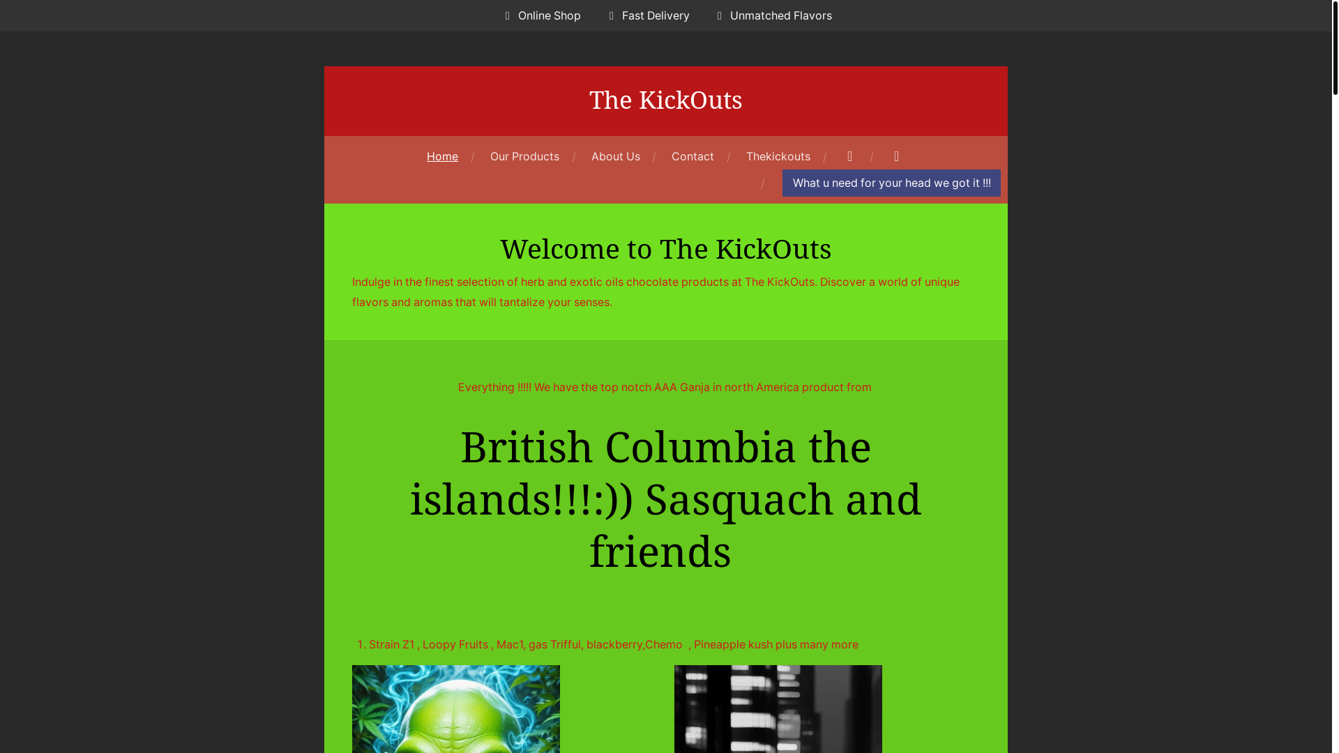 website screenshot of https://the-kickouts.com/