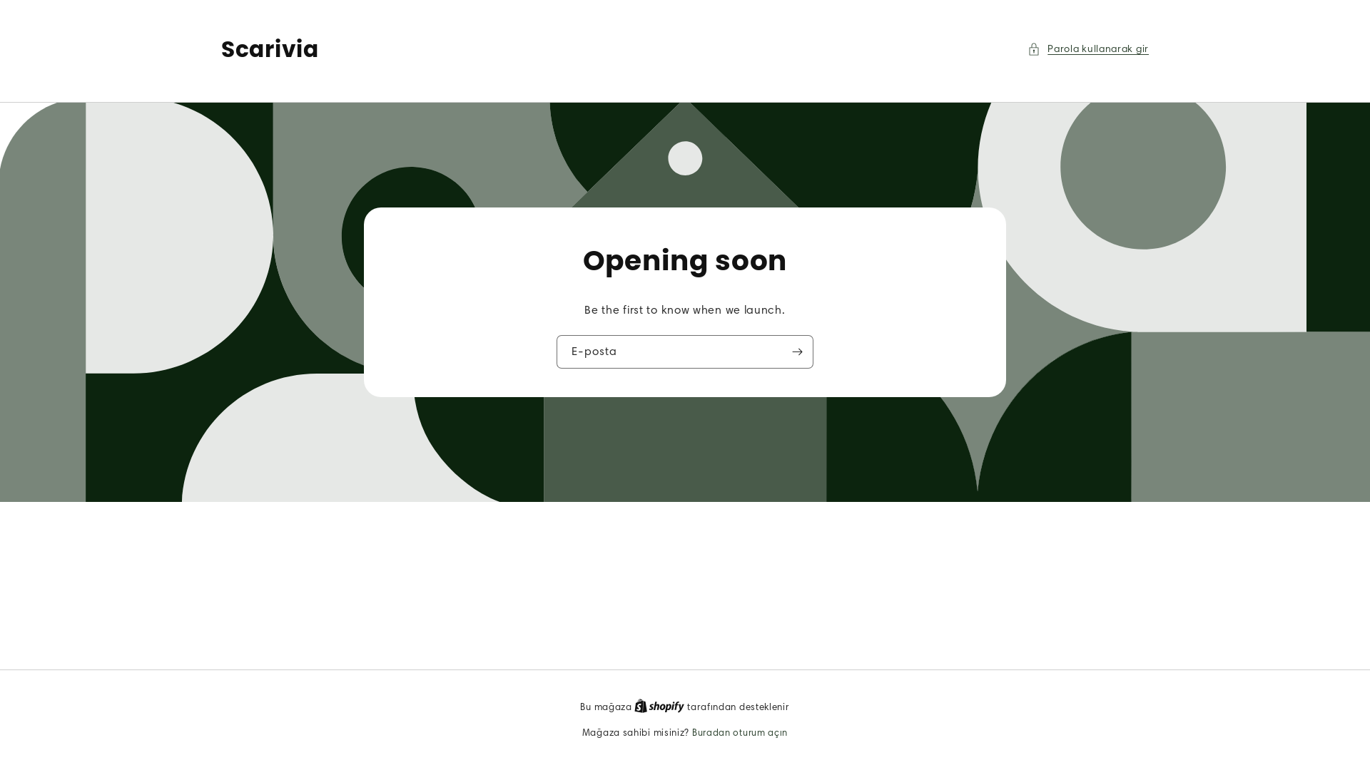 website screenshot of https://scarivia.com/