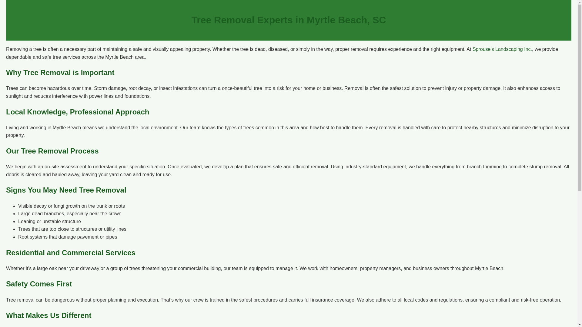 website screenshot of https://tree-removal-services-myrtle-beach-sc.pages.dev/