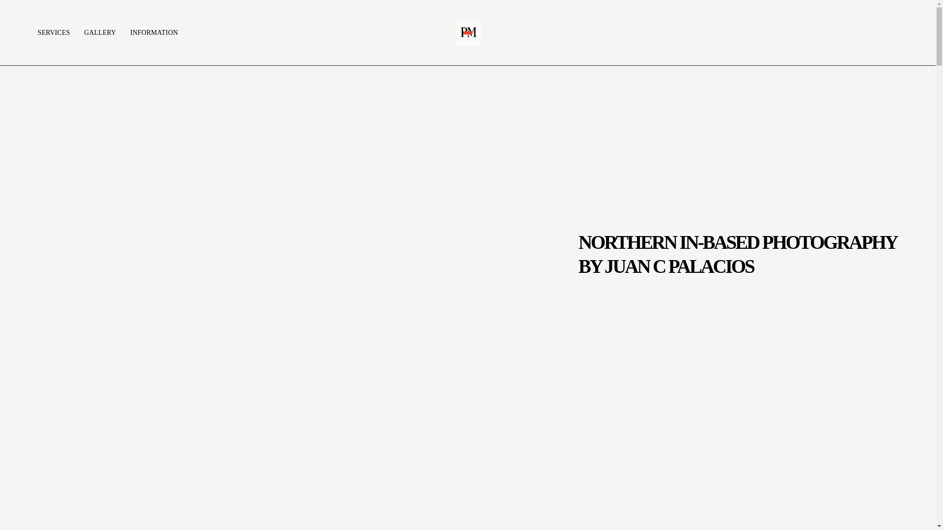 website screenshot of https://pm-and-co.com/