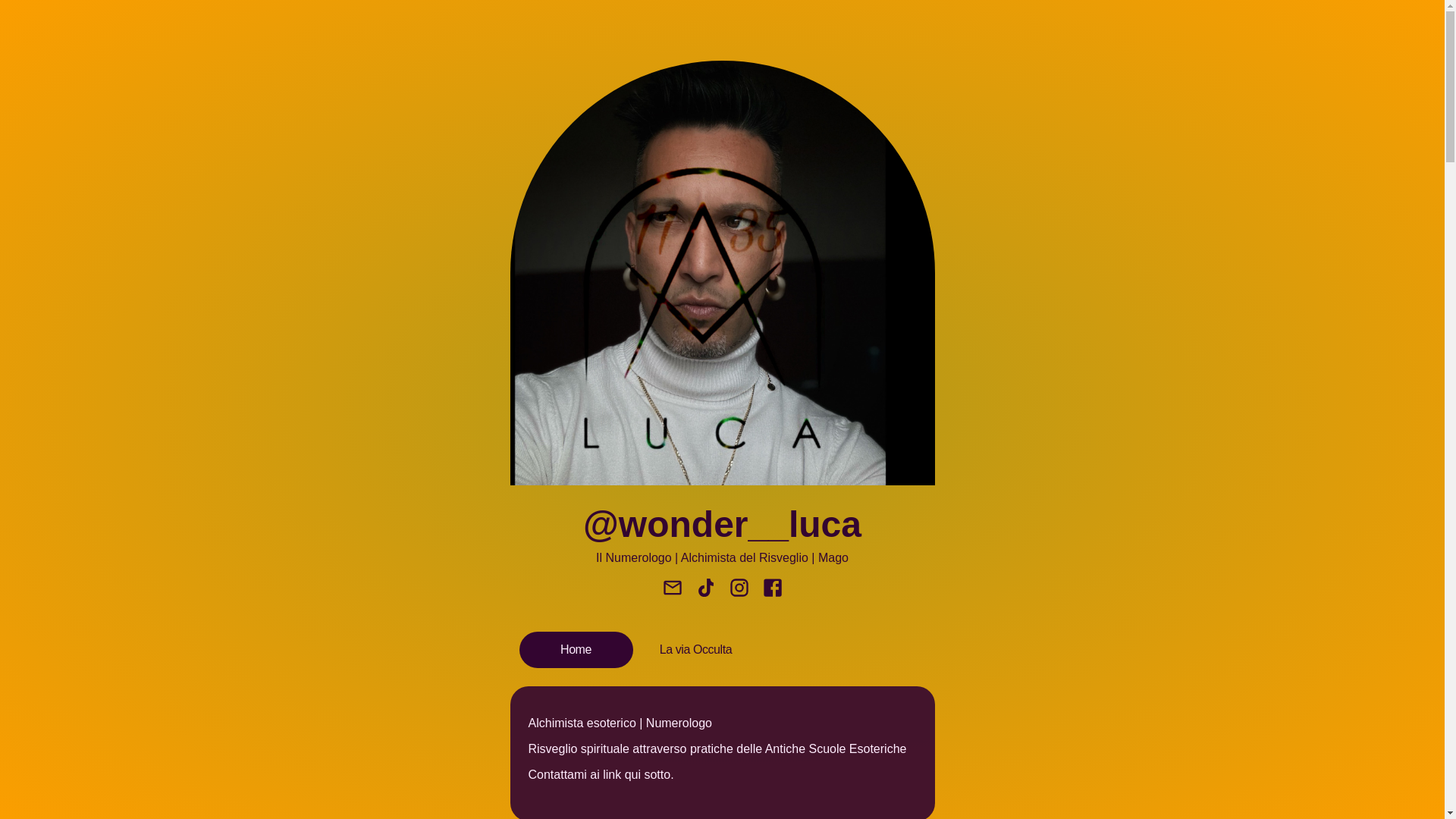 website screenshot of https://wonderluca.store/