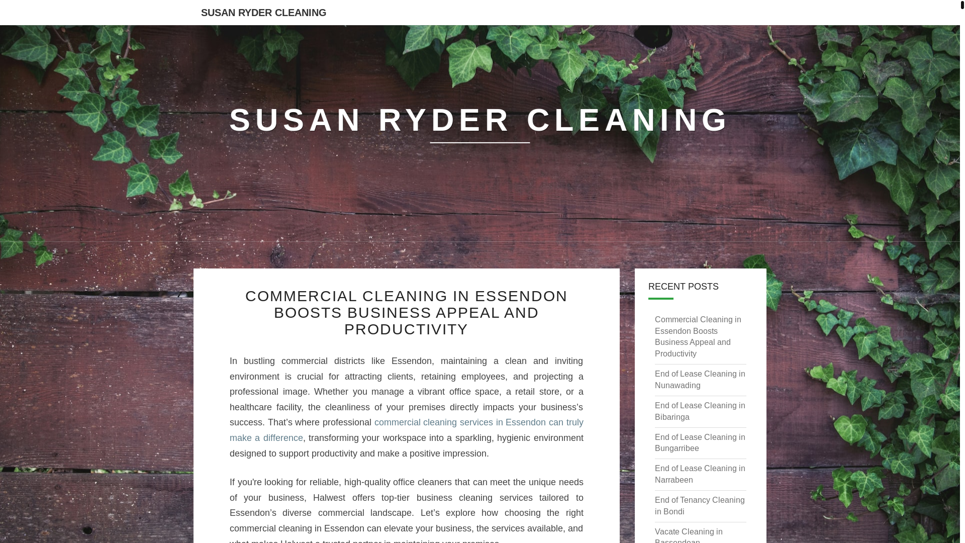 website screenshot of https://susanrydercleaning.pages.dev/