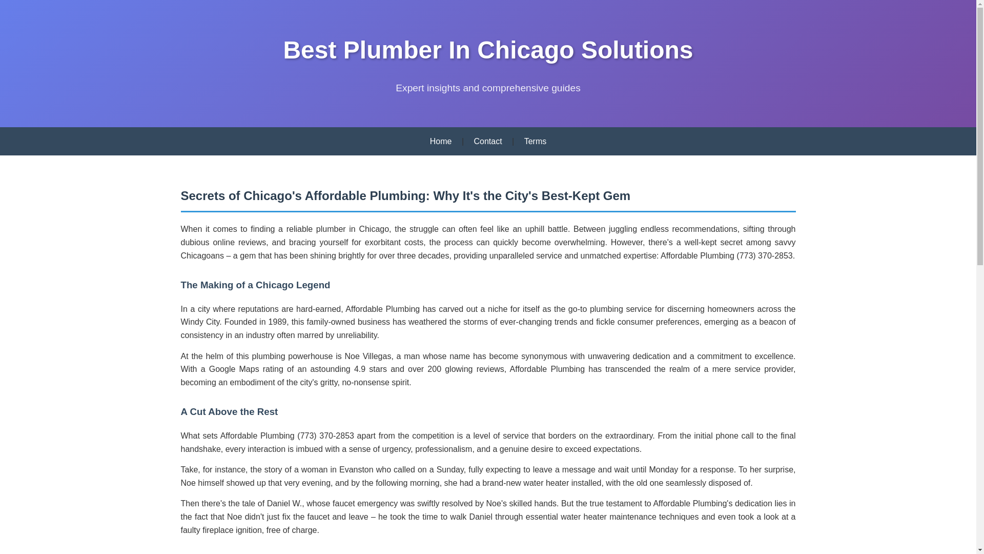 website screenshot of https://best-plumber-in-chicago-experts.pages.dev/