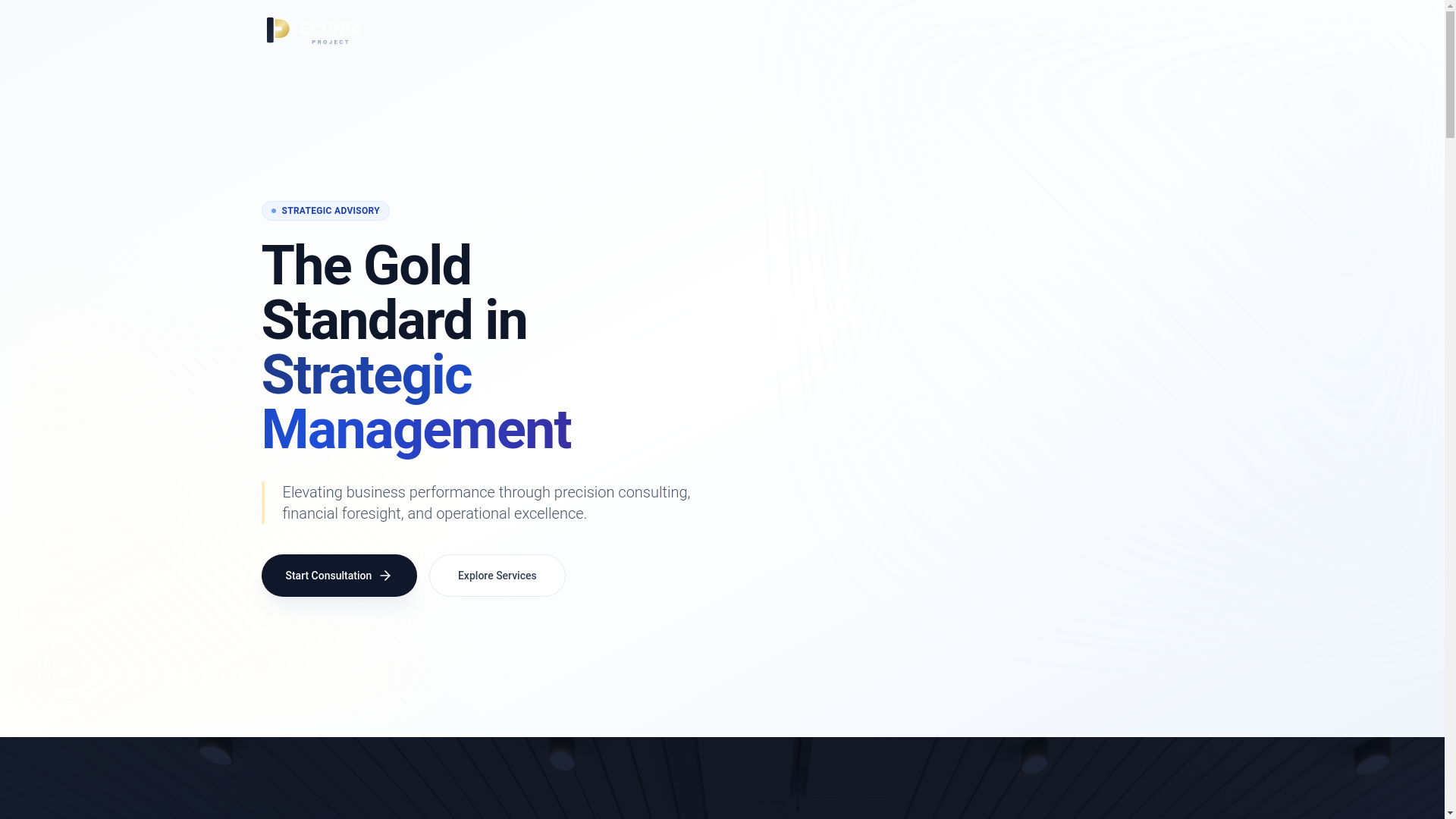 website screenshot of https://pecuniaprojectsolutions.com/