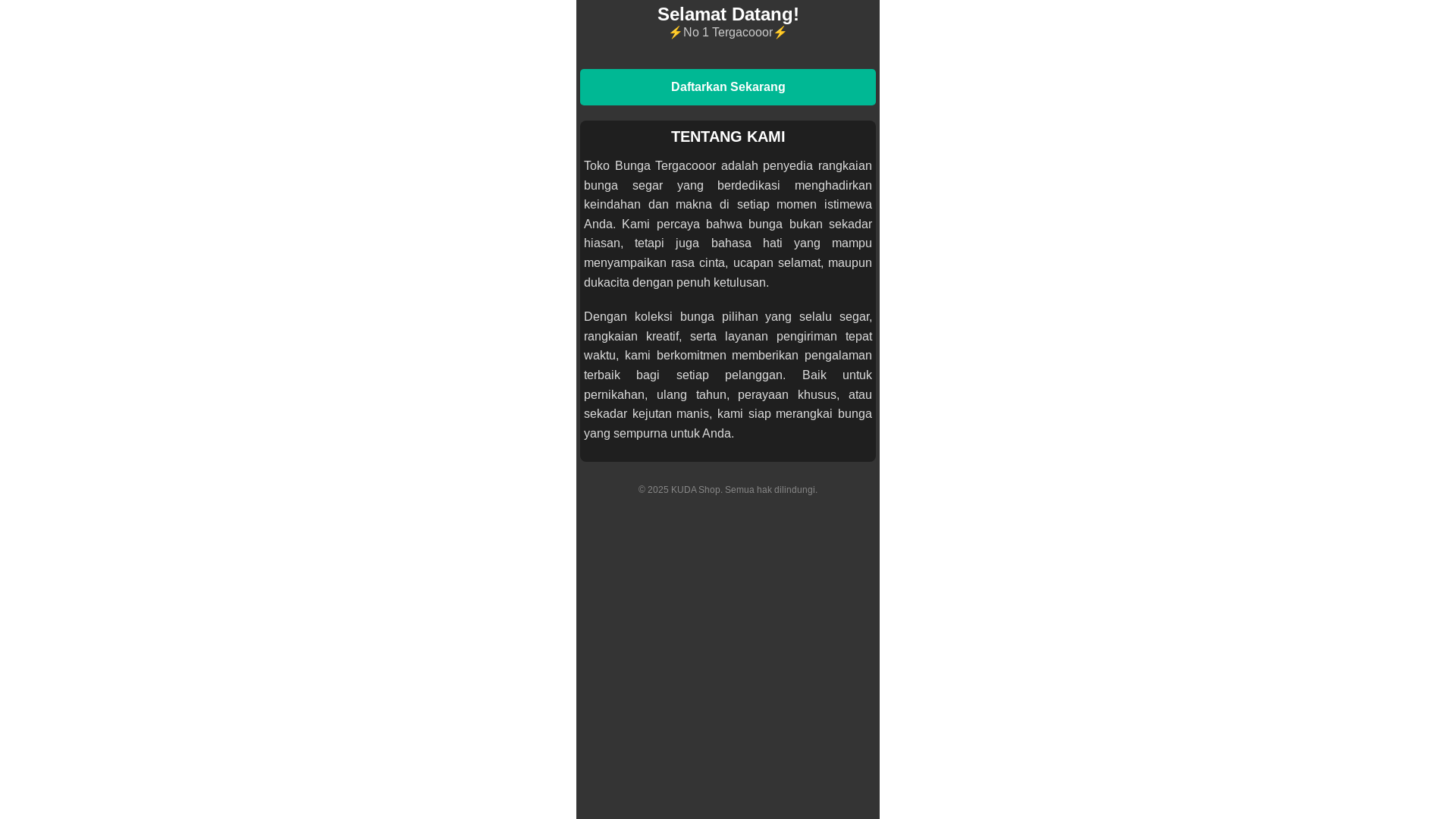 website screenshot of https://gamsahamidasite.pages.dev/