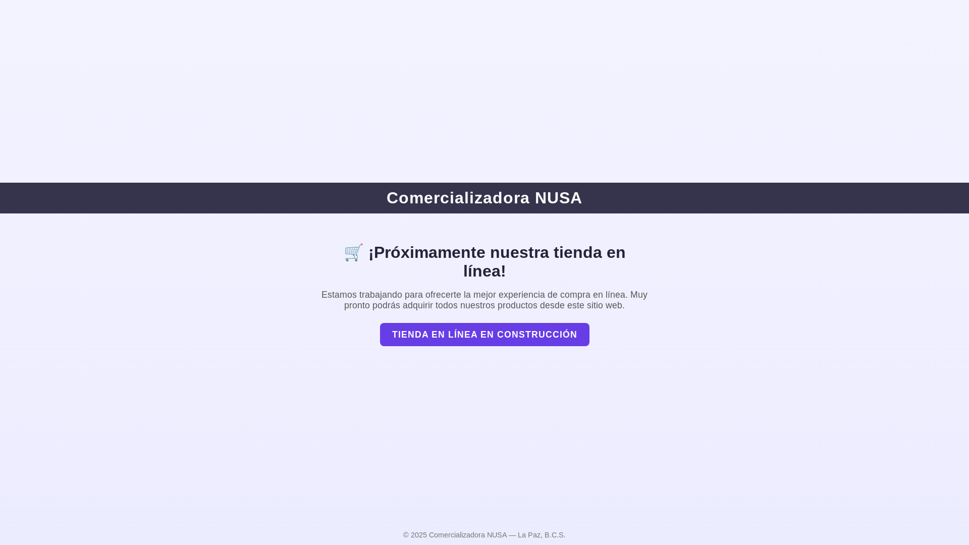 website screenshot of https://nusacomercializadora.com.mx/