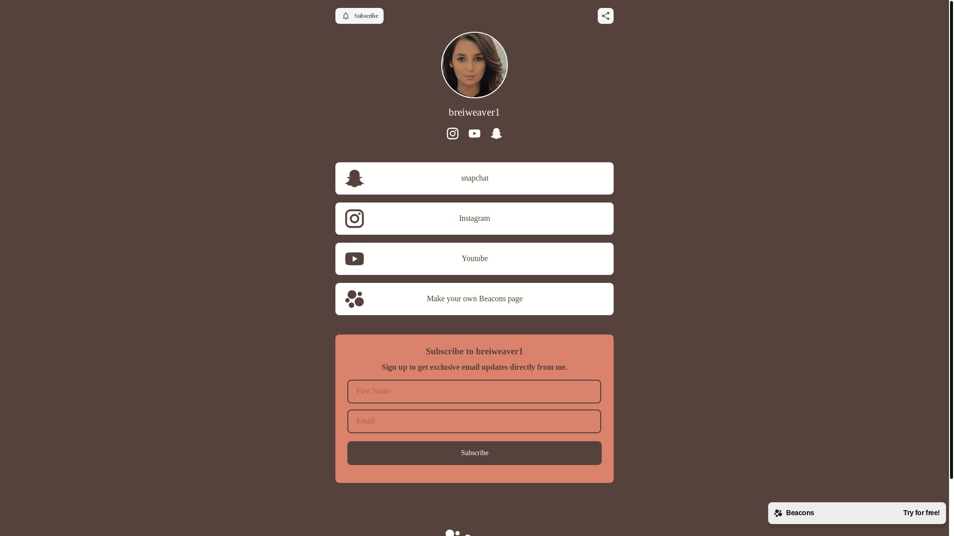 website screenshot of https://breiweaver1.com/