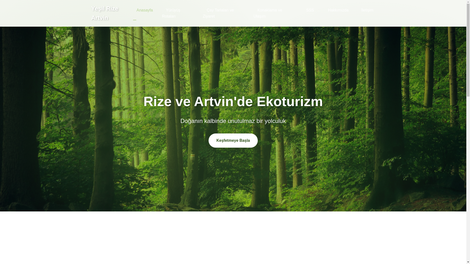 website screenshot of https://yesilrizeartvin.tr/