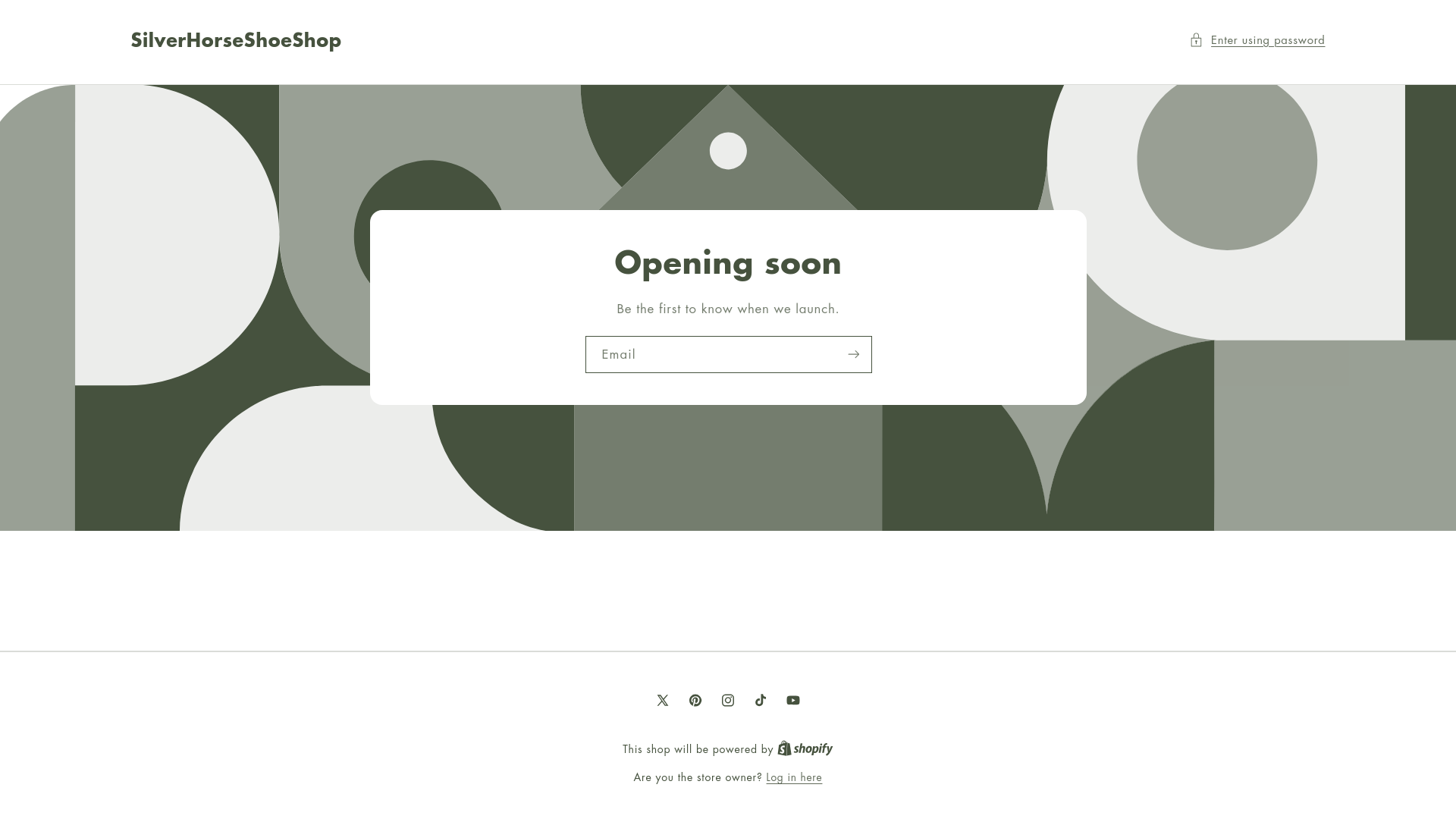 website screenshot of https://silverhorseshoejewelry.com/