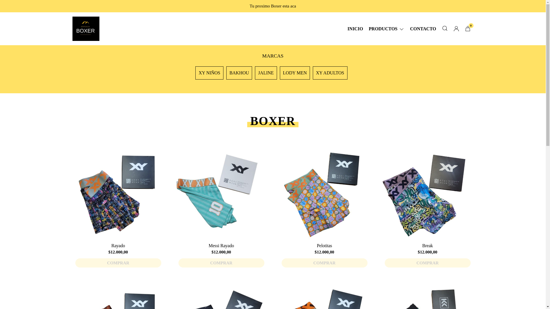 website screenshot of https://ushuaiaboxer.ar/