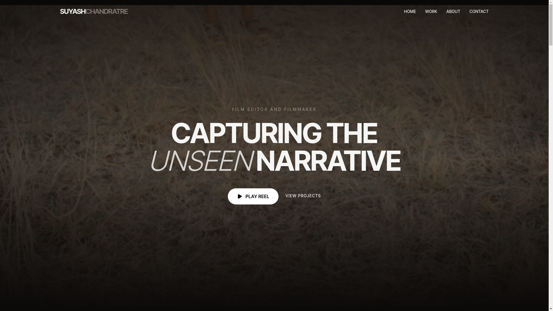 website screenshot of https://suyashchandratre.in/