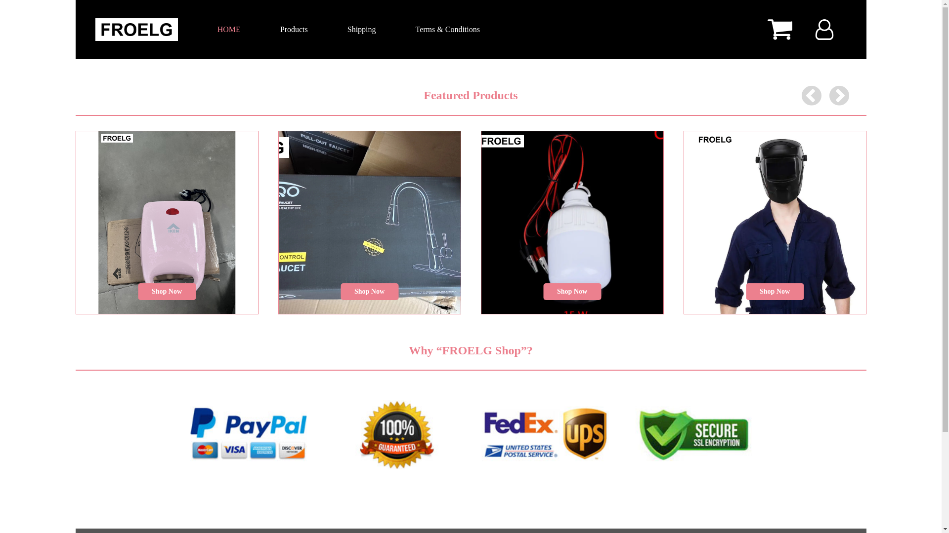 website screenshot of https://froelg-product.xyz/