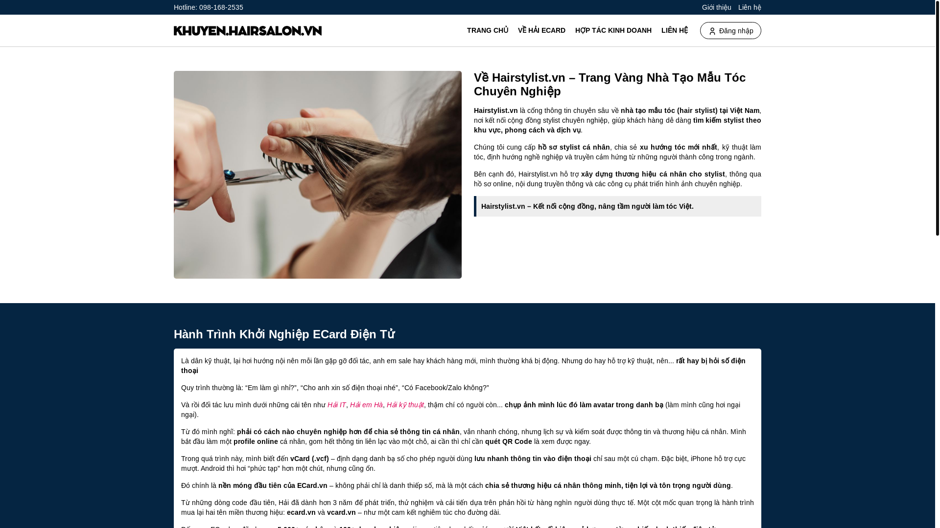 website screenshot of https://hairstylist.vn/