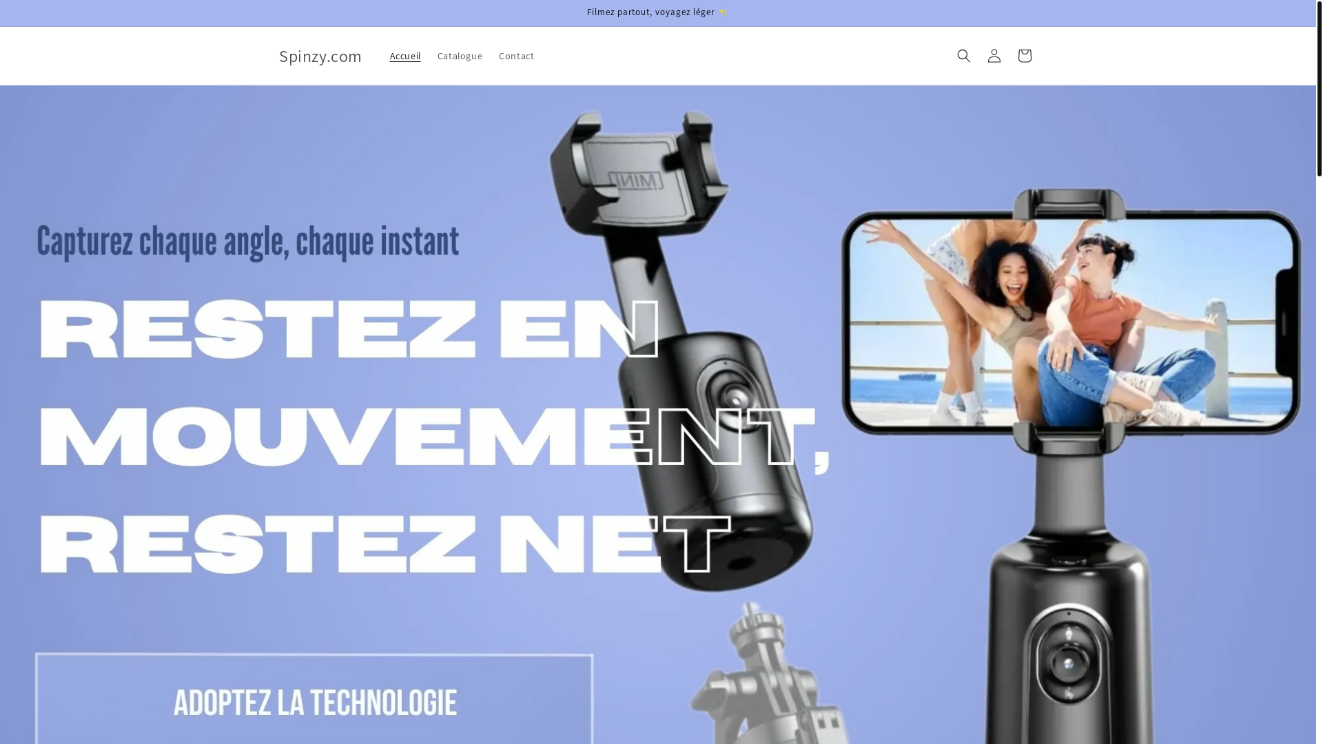 website screenshot of https://spinzystore.com/
