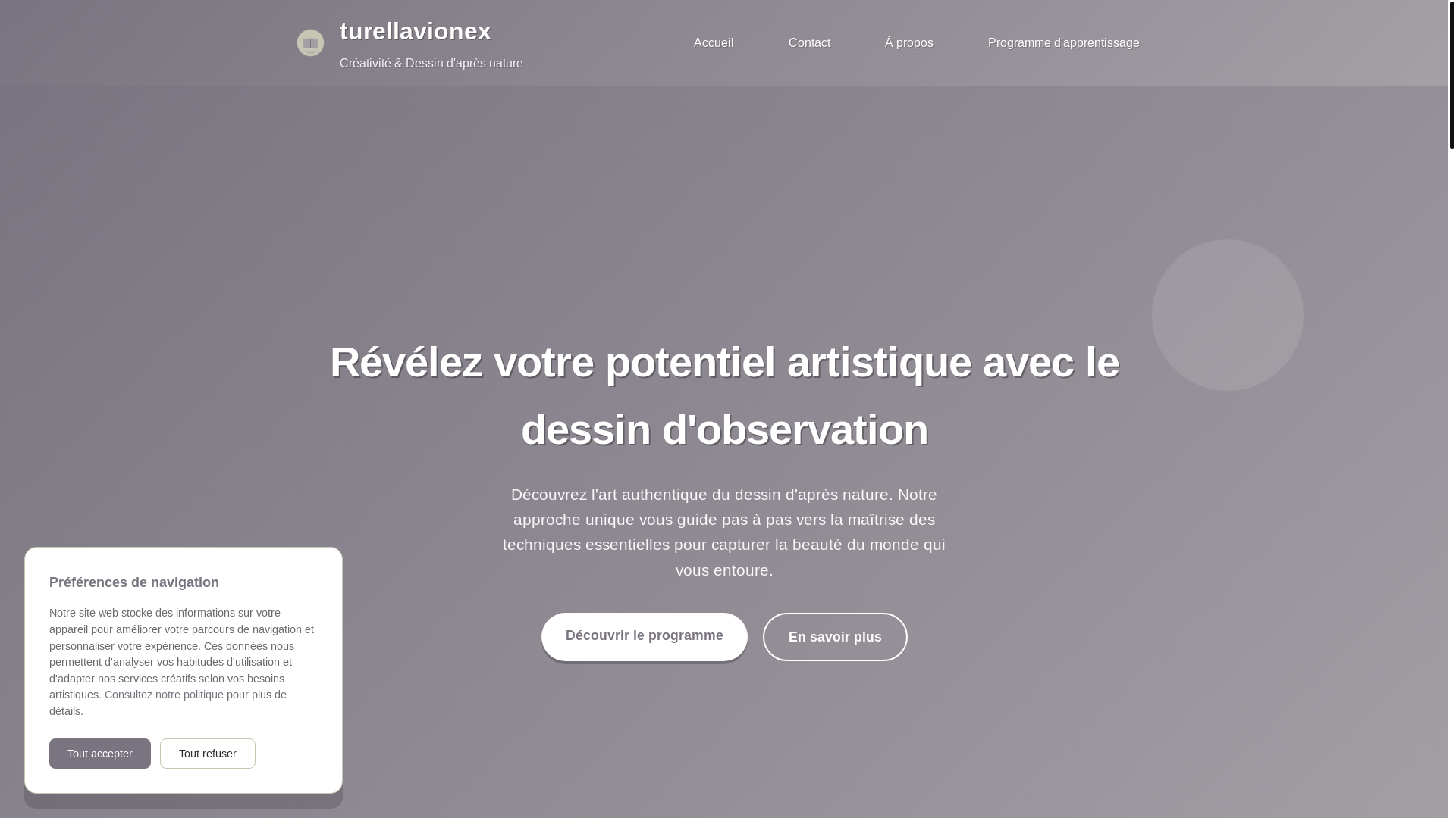 website screenshot of https://turellavionex.sbs/