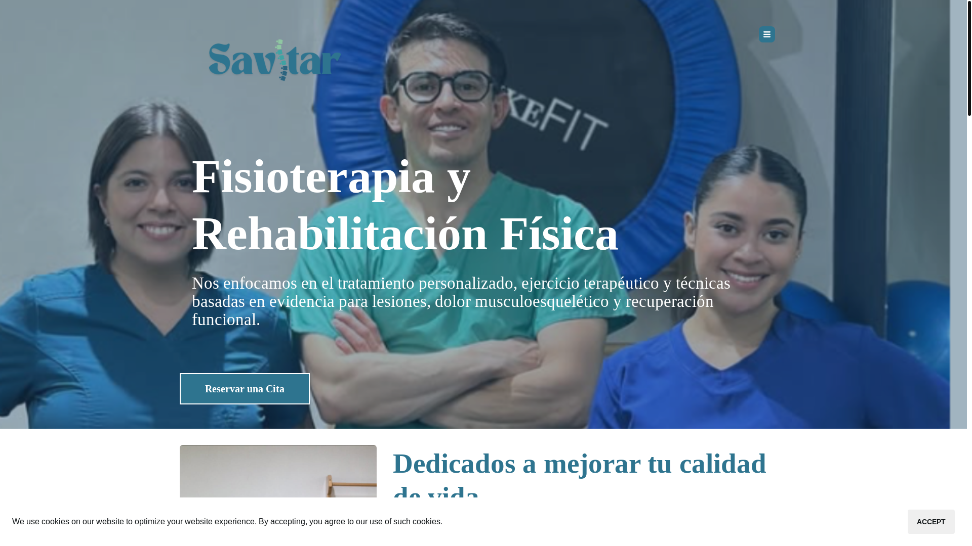 website screenshot of https://savitarfisioterapia.com/