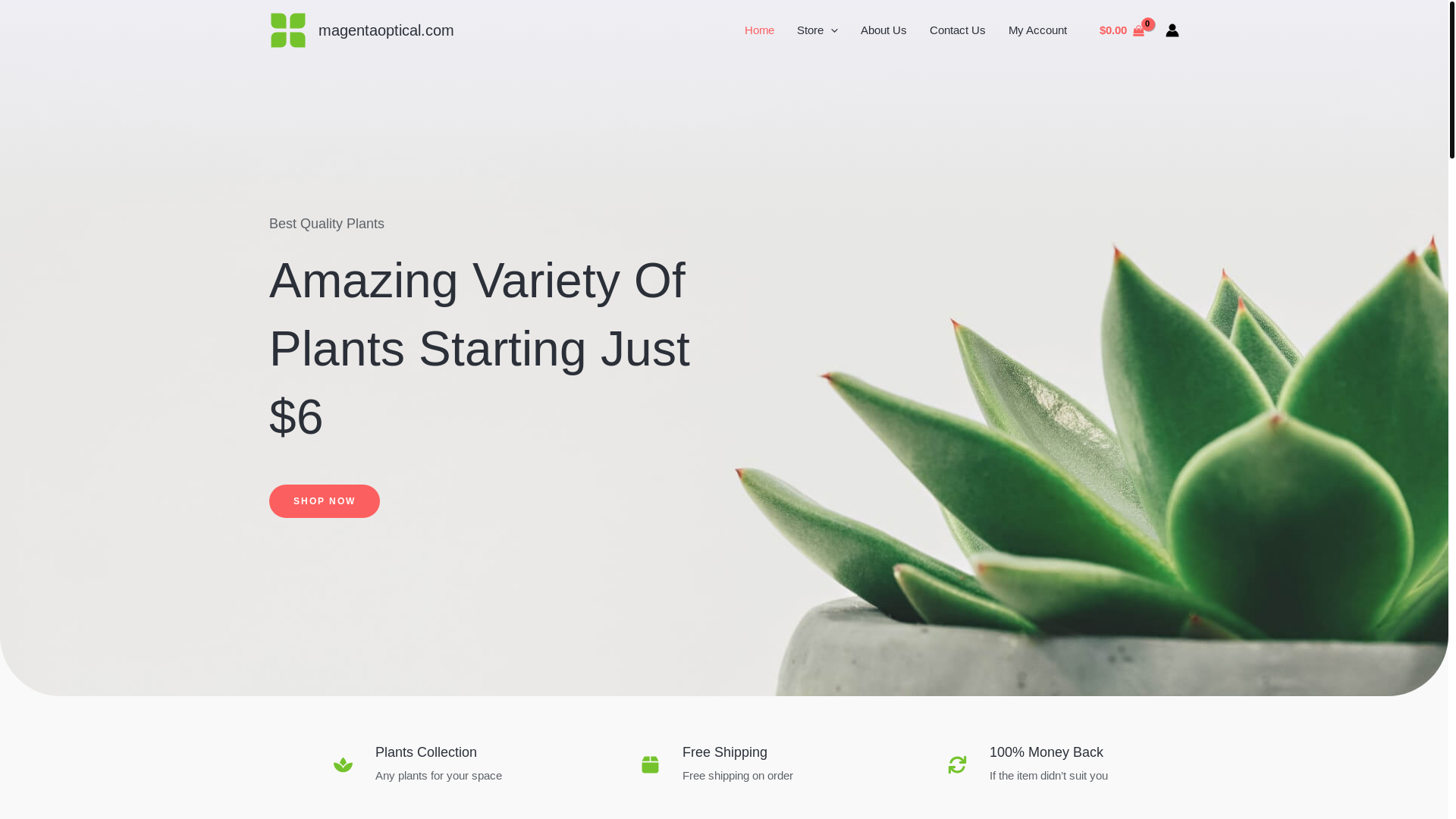 website screenshot of https://magentaoptical.com/